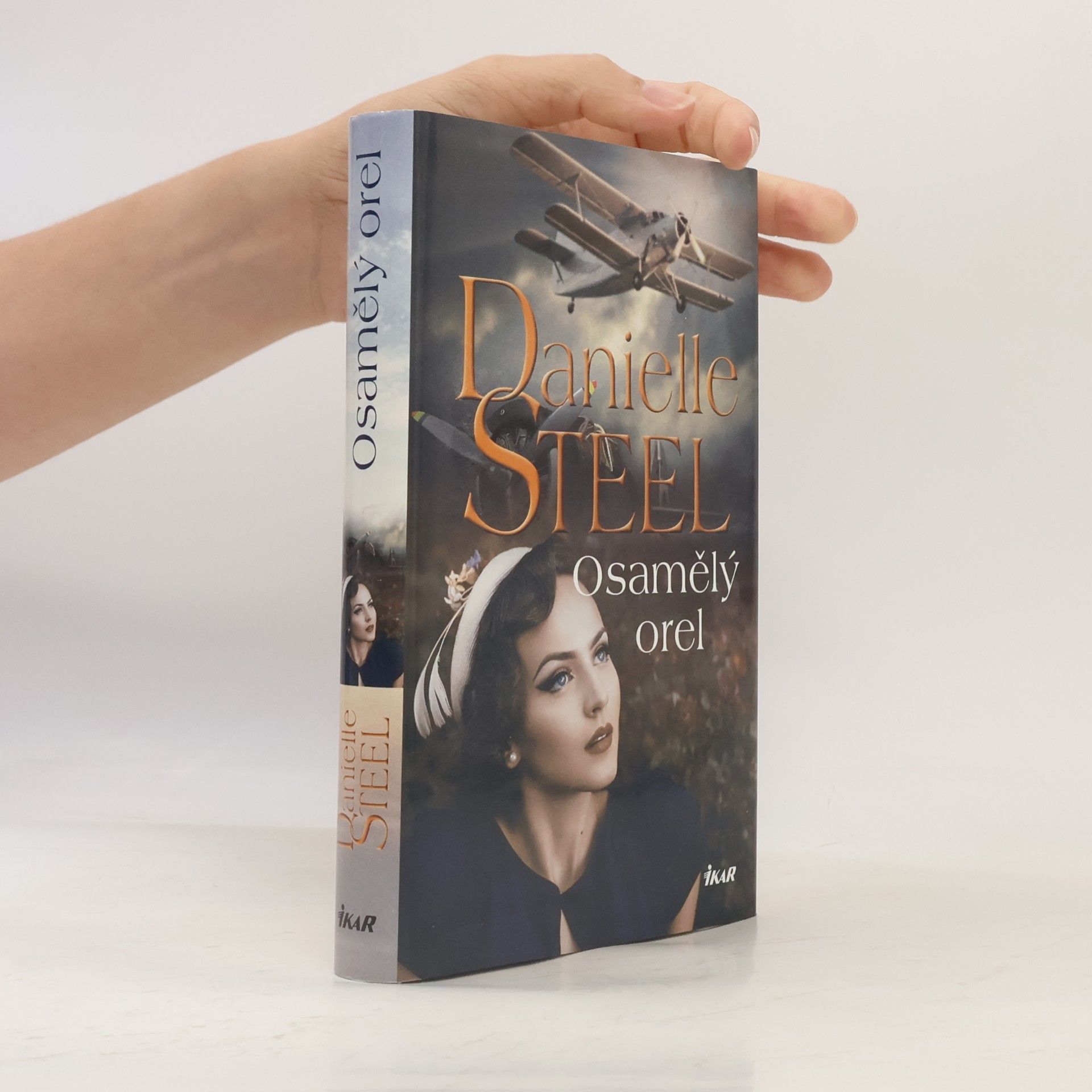 Danielle Steel Osamělý orel