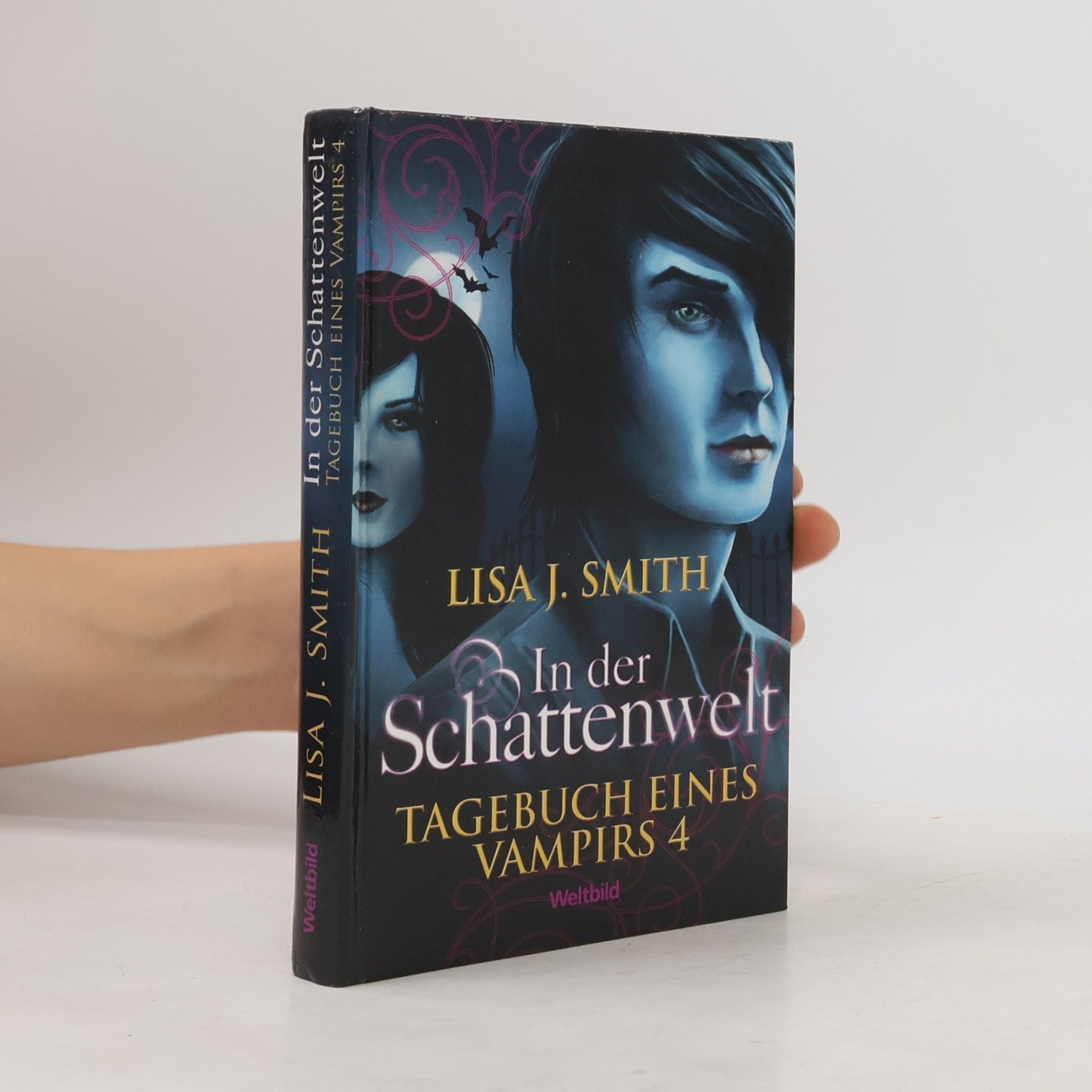 L. J. Smithová Tagebuch eines Vampirs 4. In der Schattenwelt