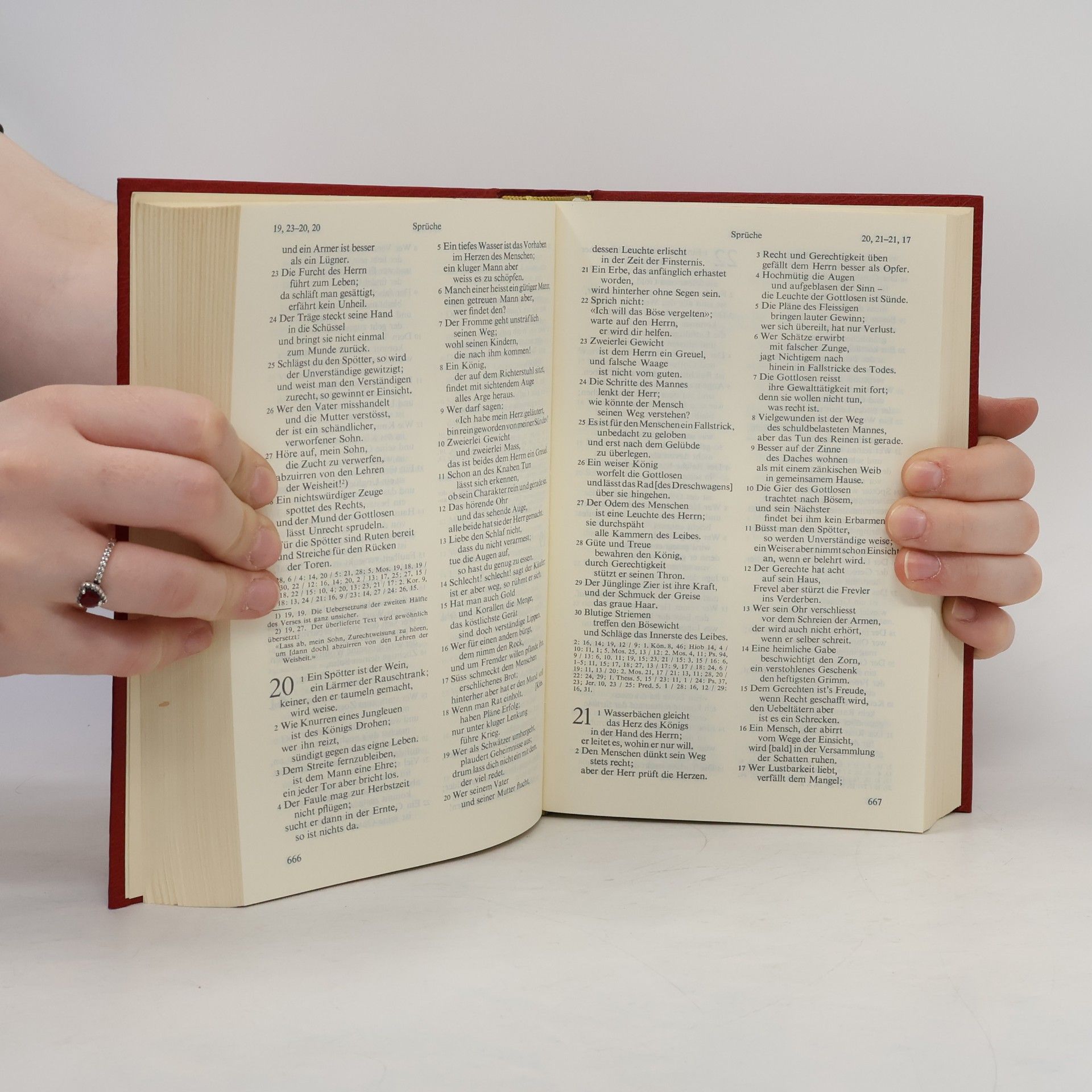 Autorenkollektiv Die heilige Schrift des Alten und des Neuen Testaments