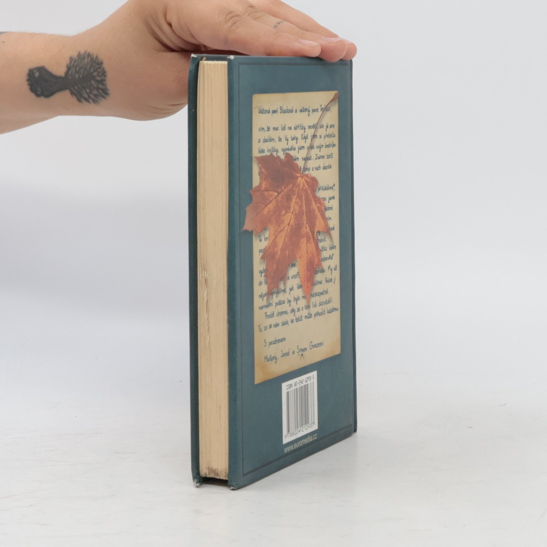 Tony DiTerlizzi Kronika rodu Spiderwicků 1
