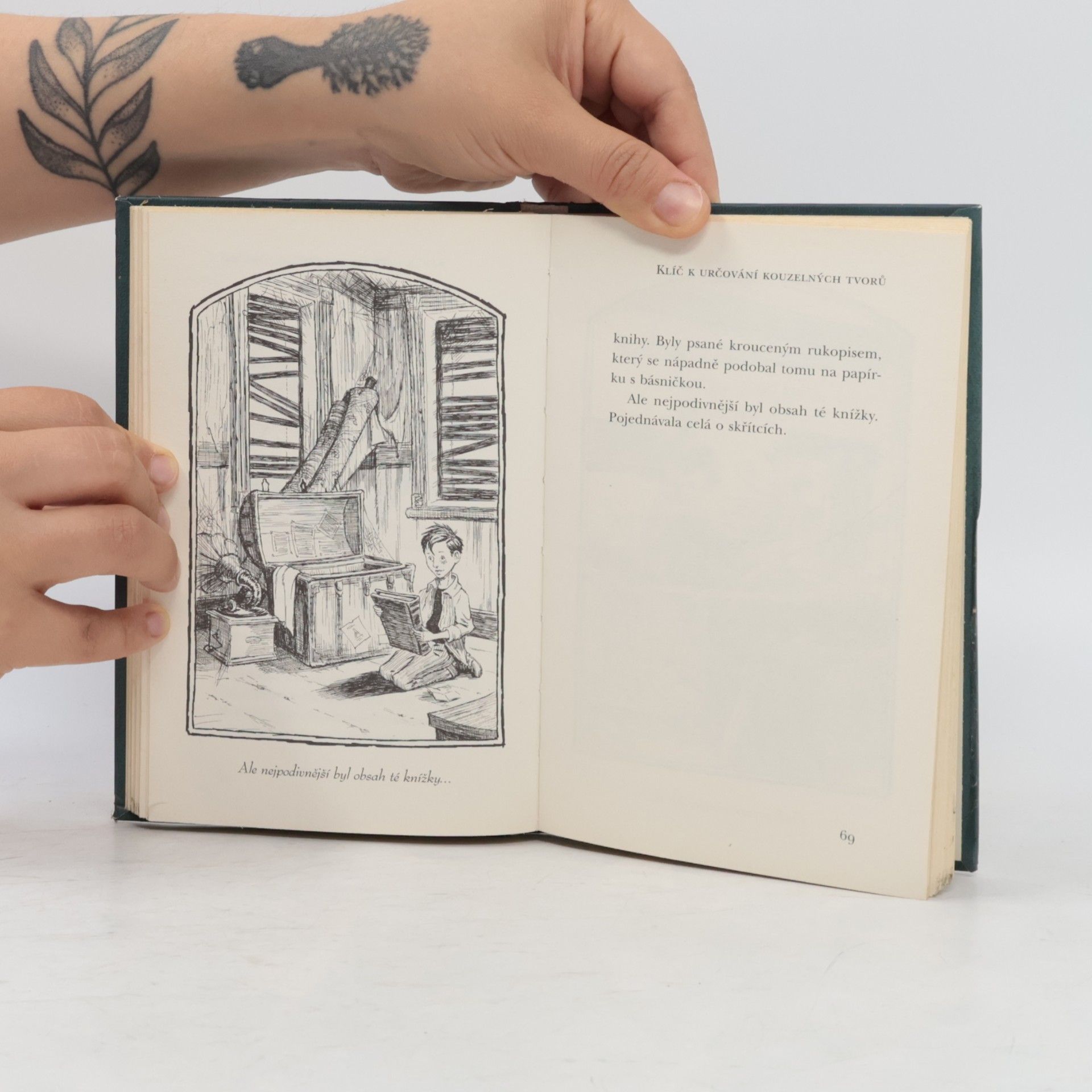 Tony DiTerlizzi Kronika rodu Spiderwicků 1