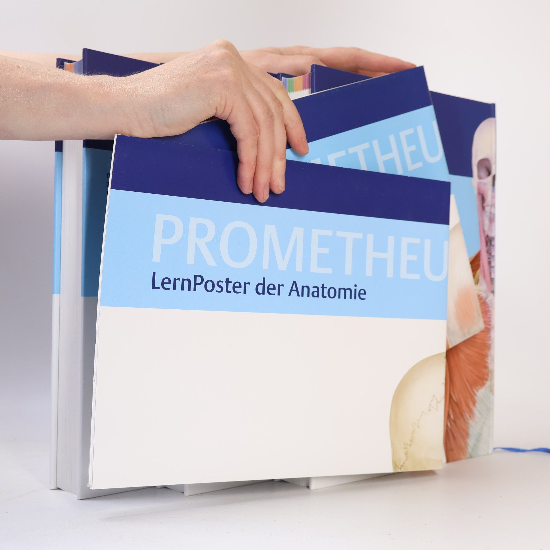 Michael Schünke Prometheus: Lernatlas der Anatomie. Lern Paket
