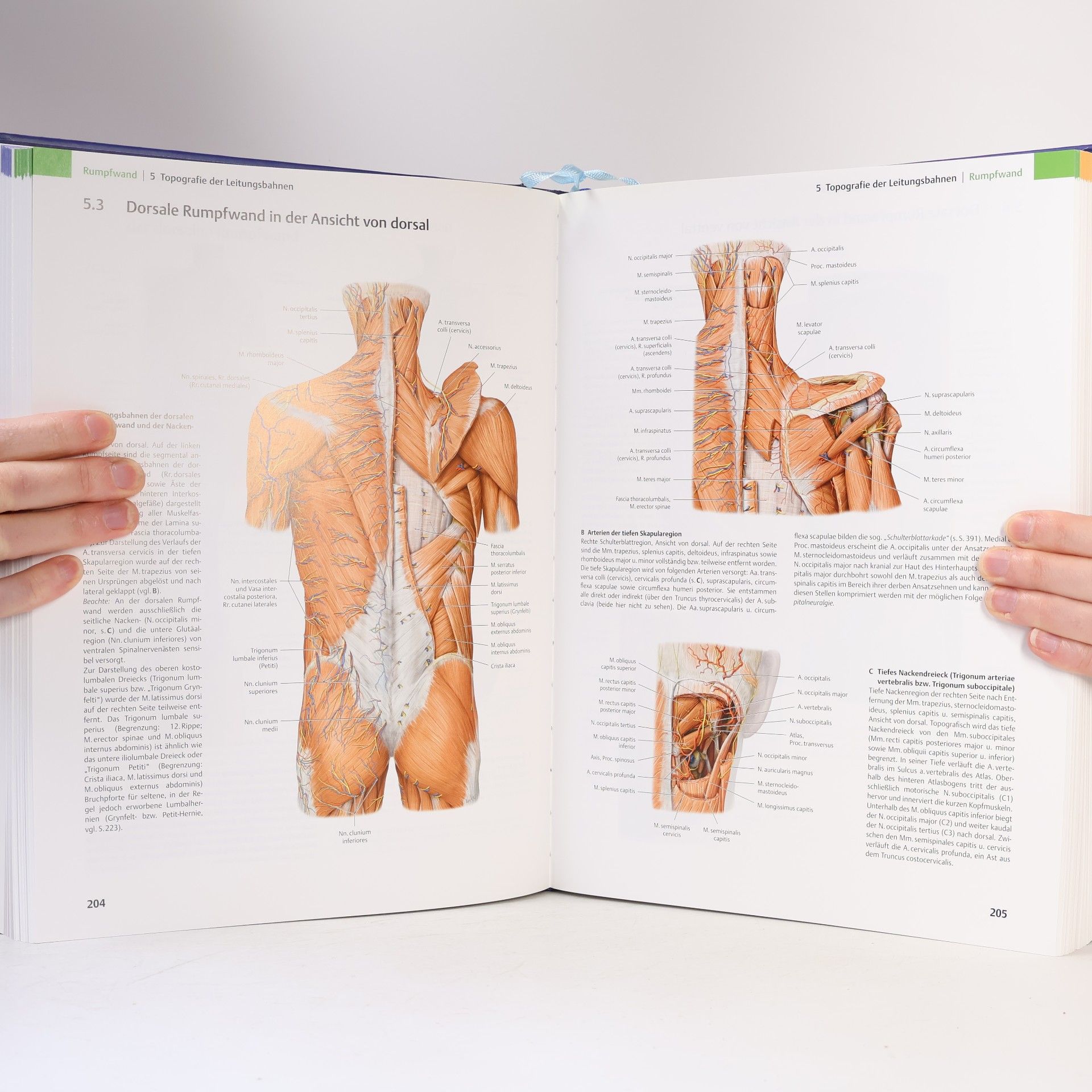 Michael Schünke Prometheus: Lernatlas der Anatomie. Lern Paket