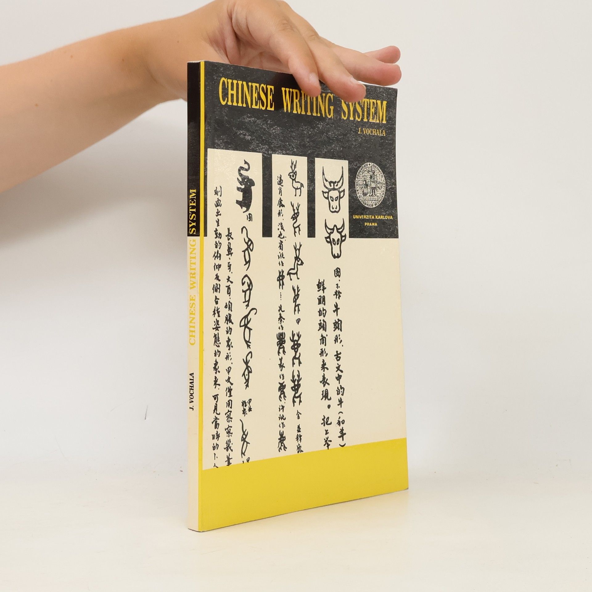Jaromír Vochala Chinese Writing System