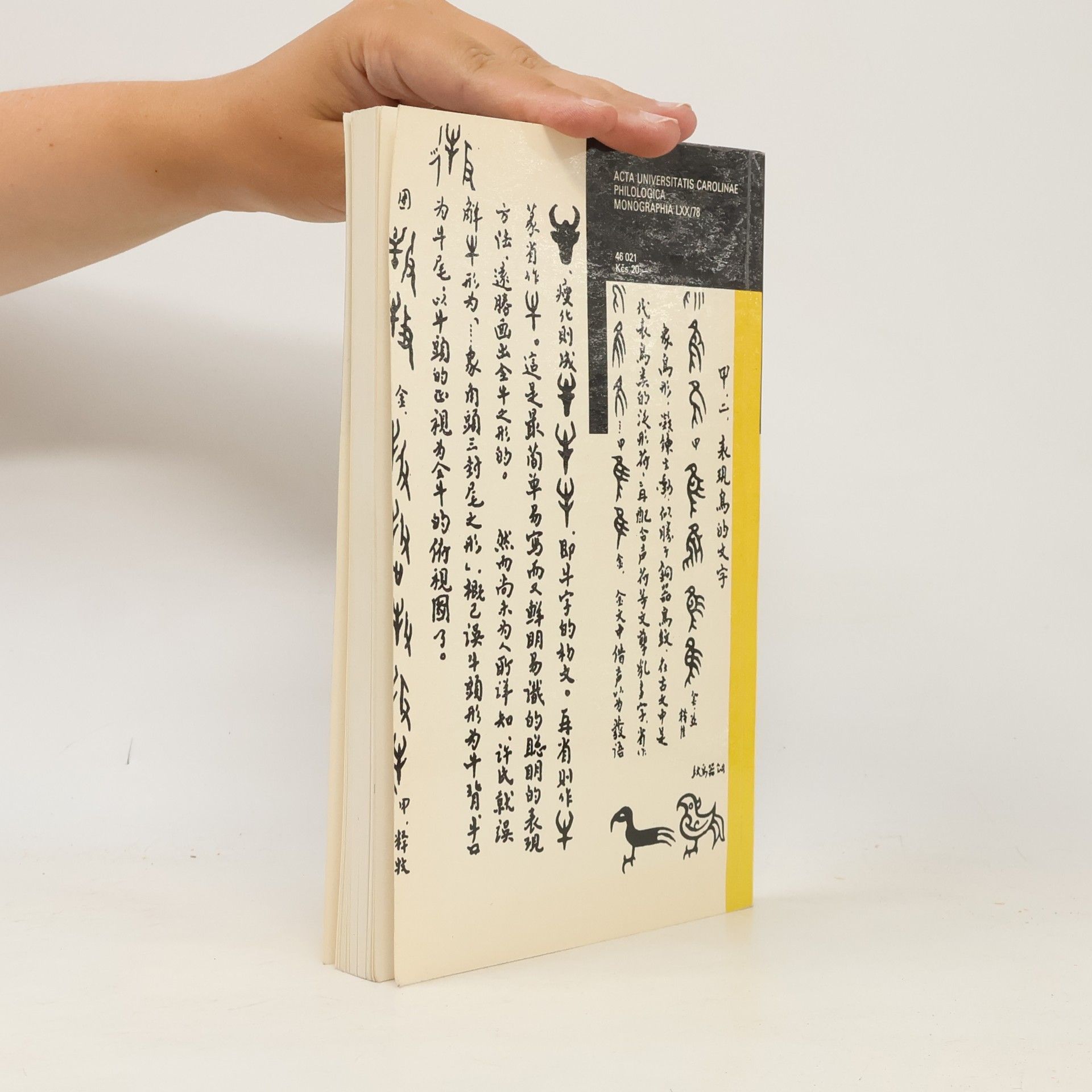 Jaromír Vochala Chinese Writing System