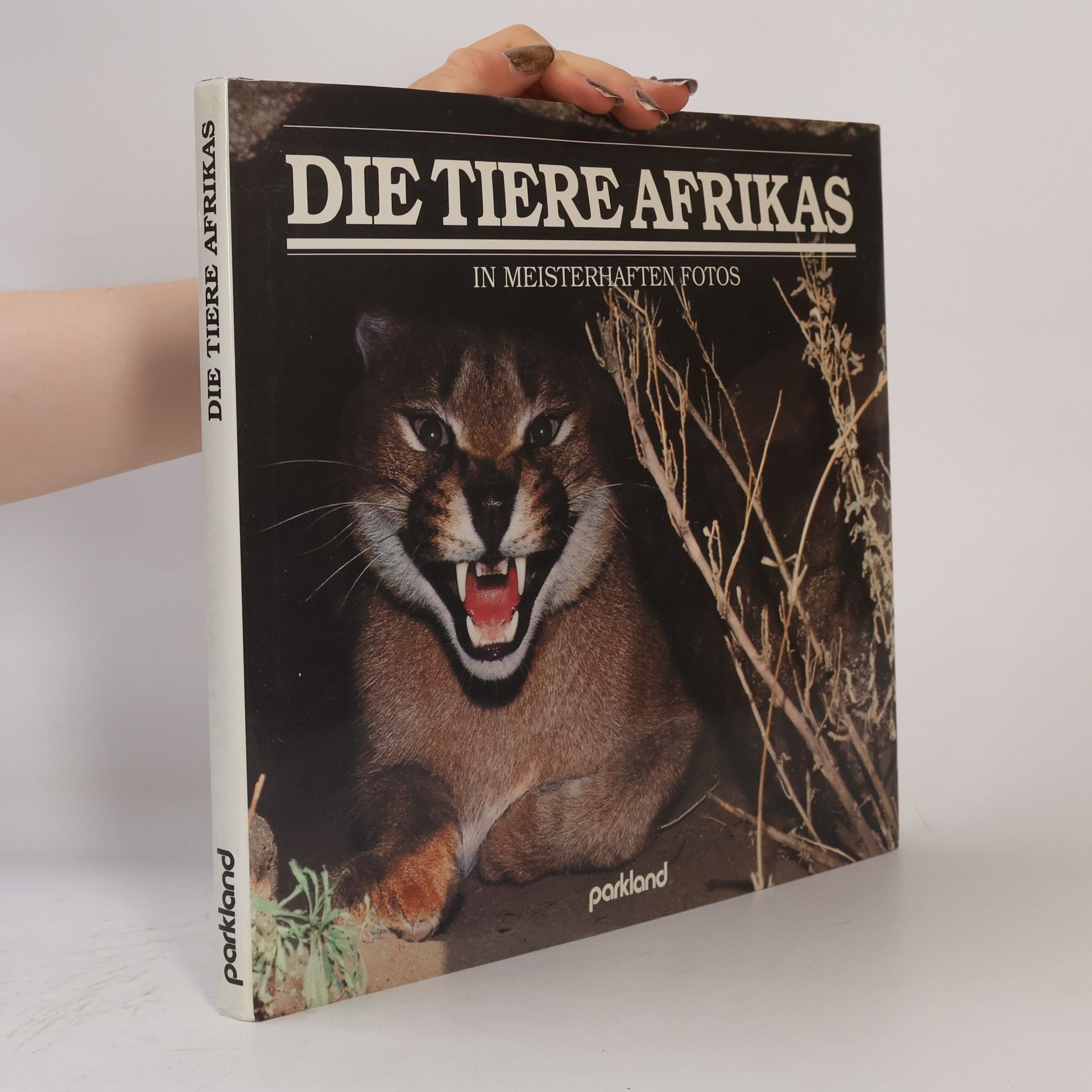 Various authors Die Tiere Afrikas in meisterhaften Fotos