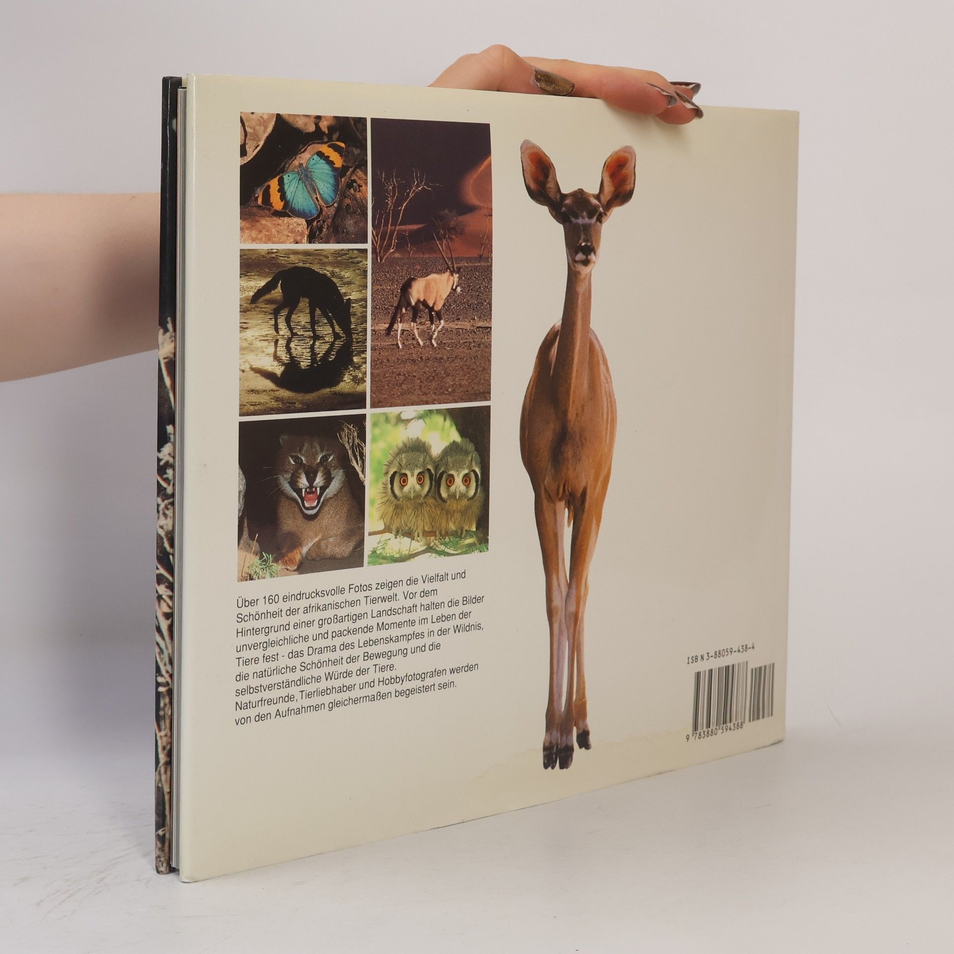 Die Tiere Afrikas in meisterhaften Fotos