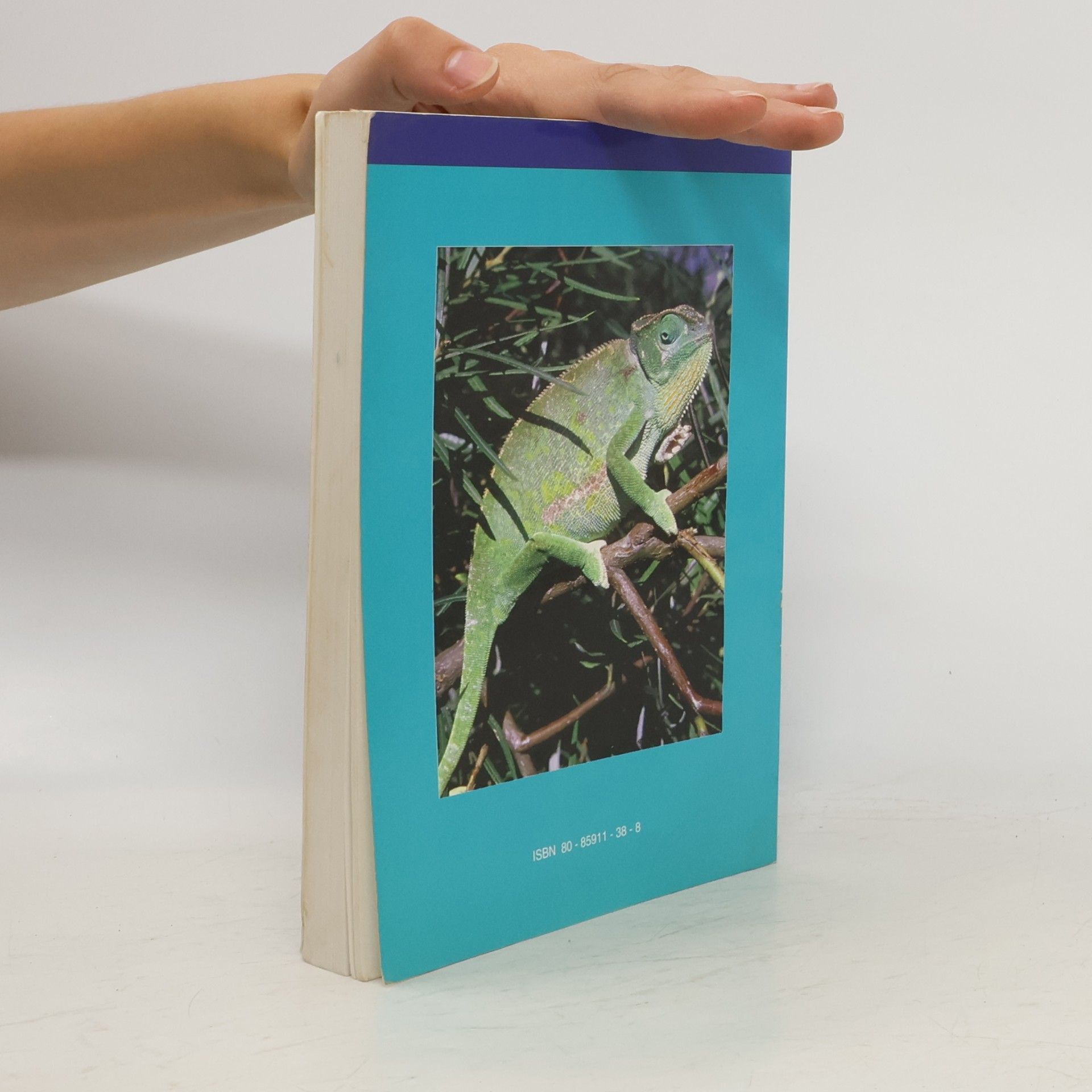 Richard Kraus Chameleoni a gekoni