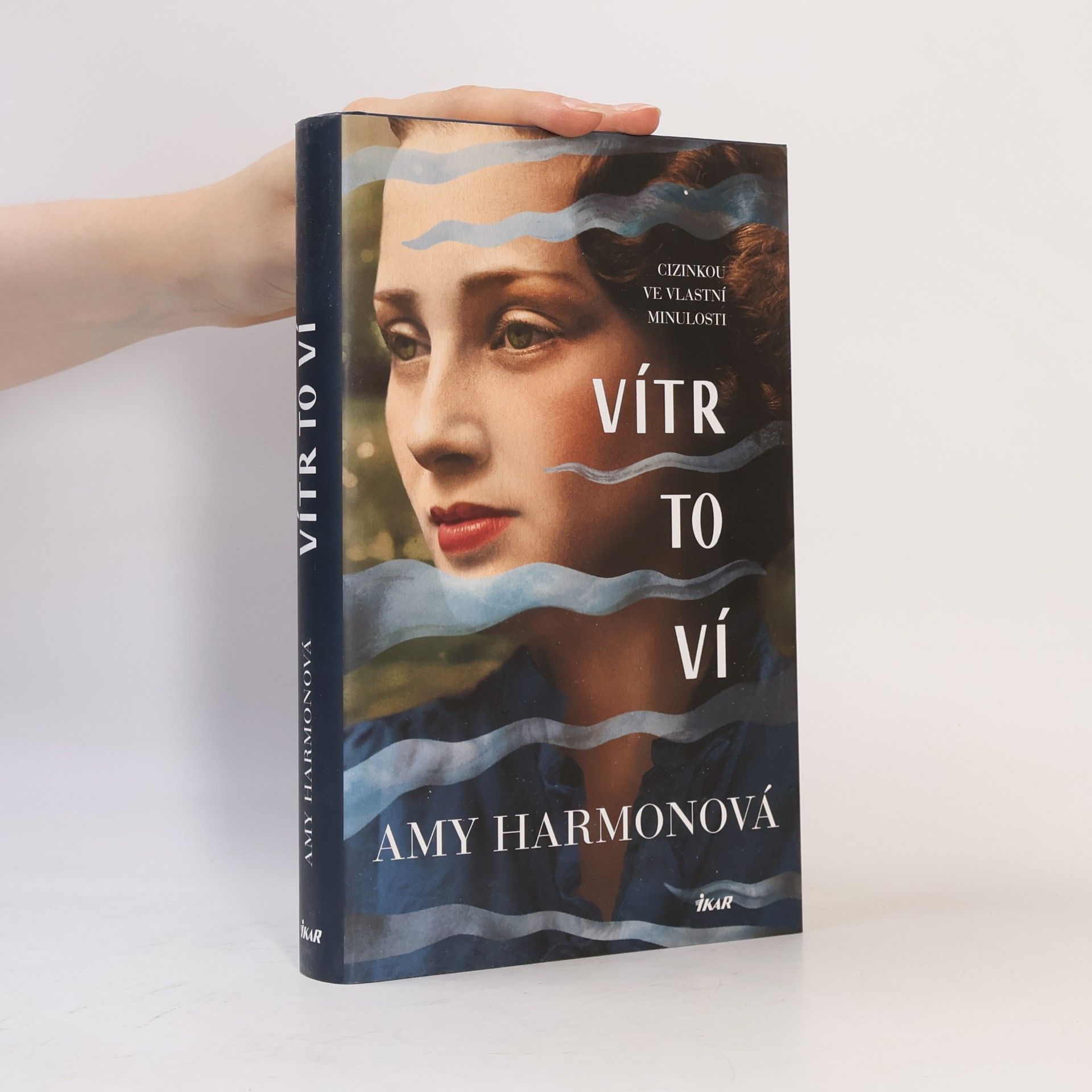 Amy Harmon Vítr to ví