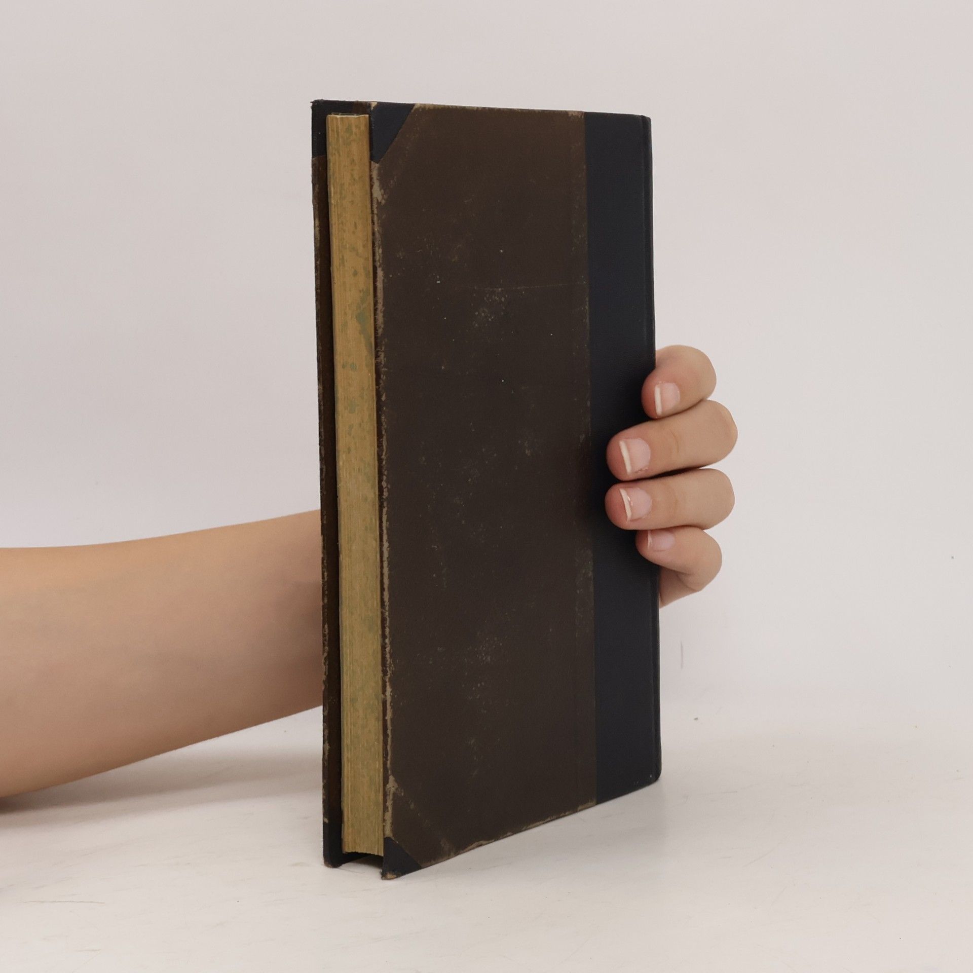 Harald Høffding Dějiny novověké filosofie
