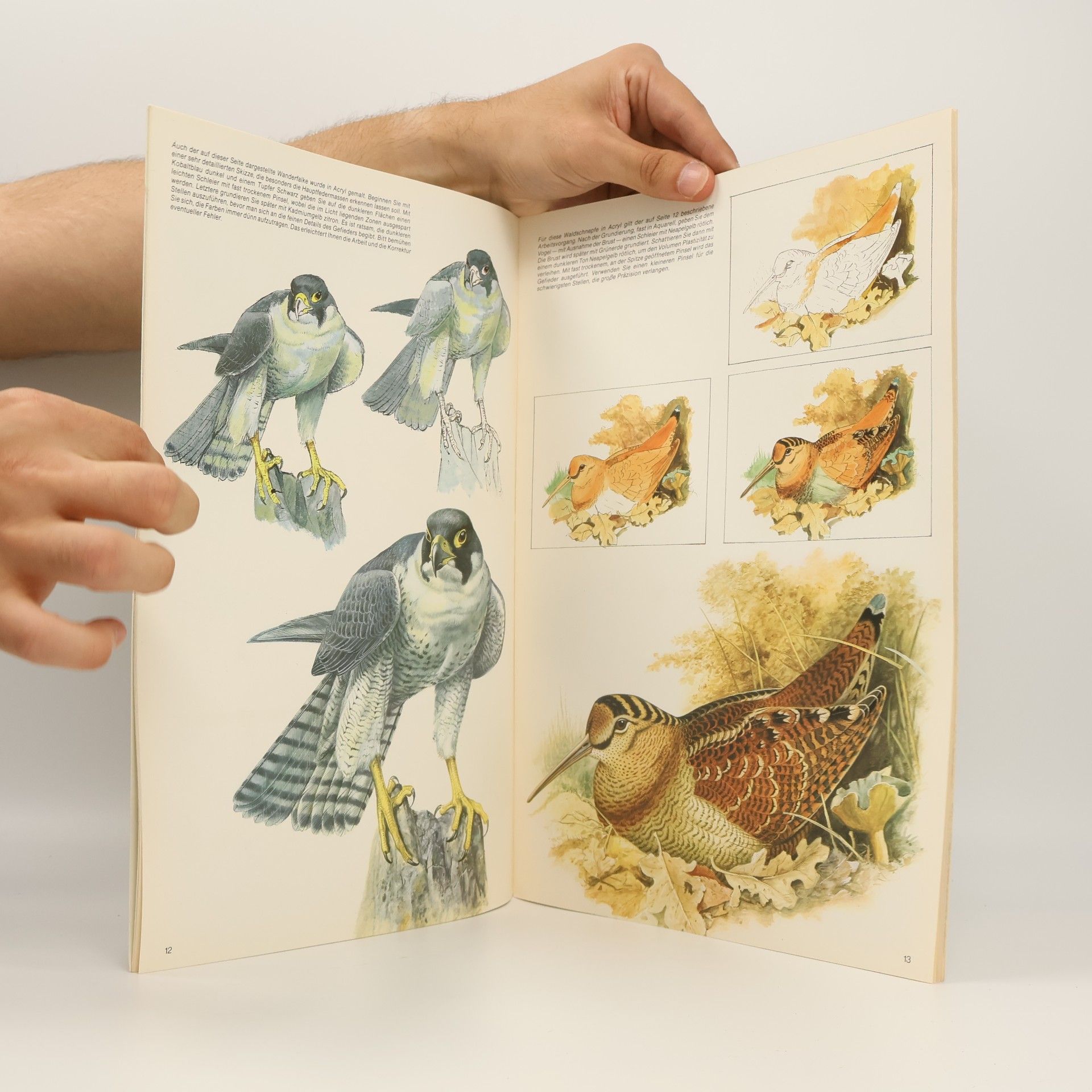 Sammlung Leonardo - 28: Vögel