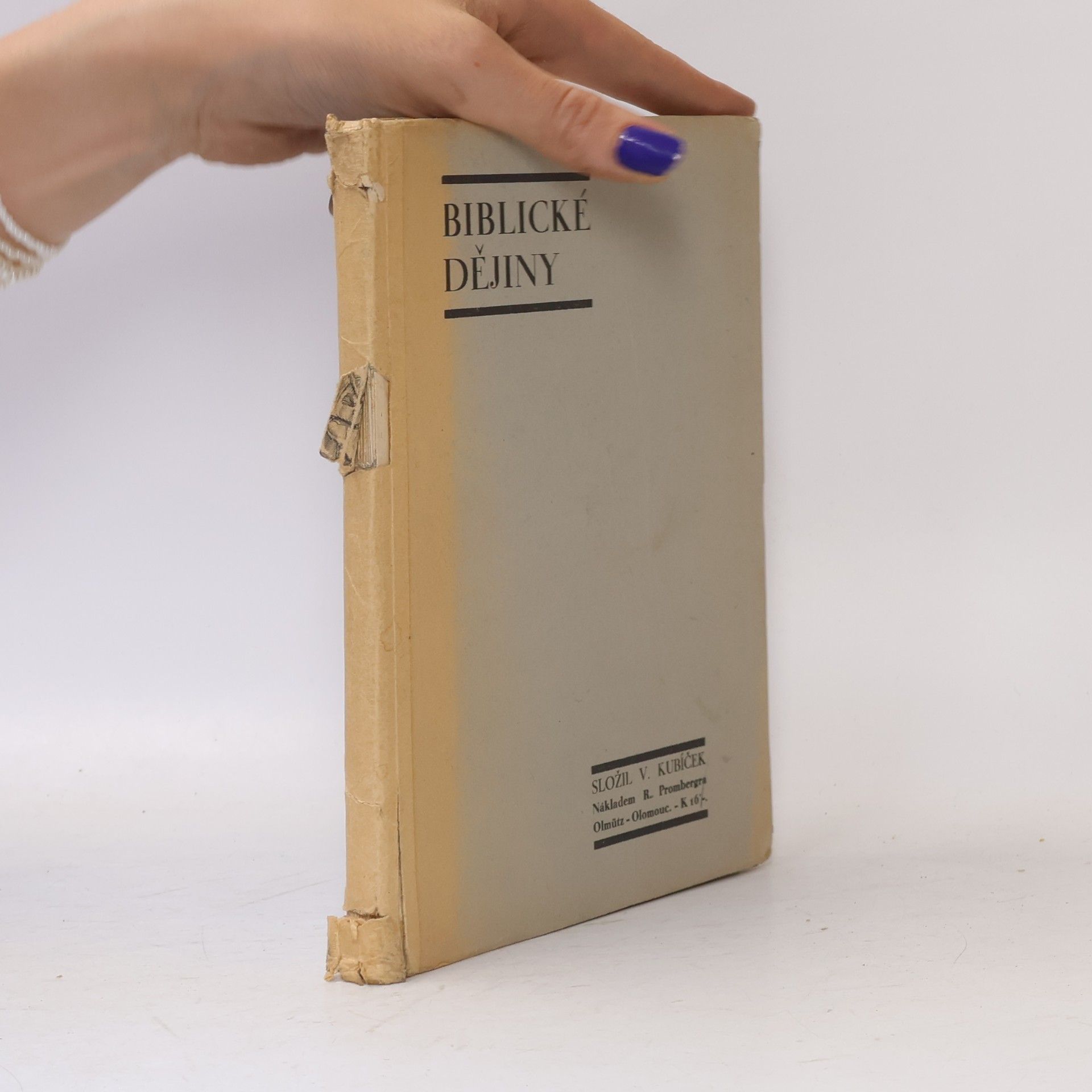 Václav Kubíček Biblické dějiny