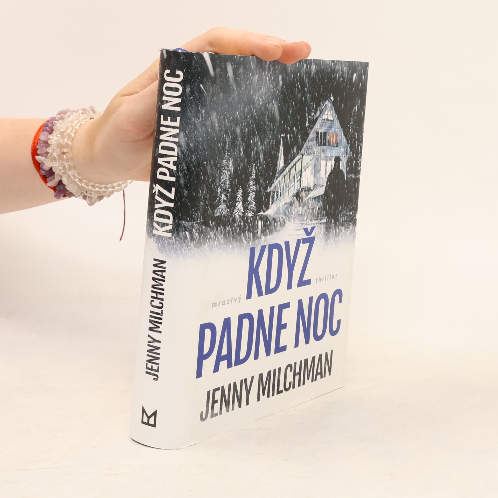 Jenny Milchman Když padne noc