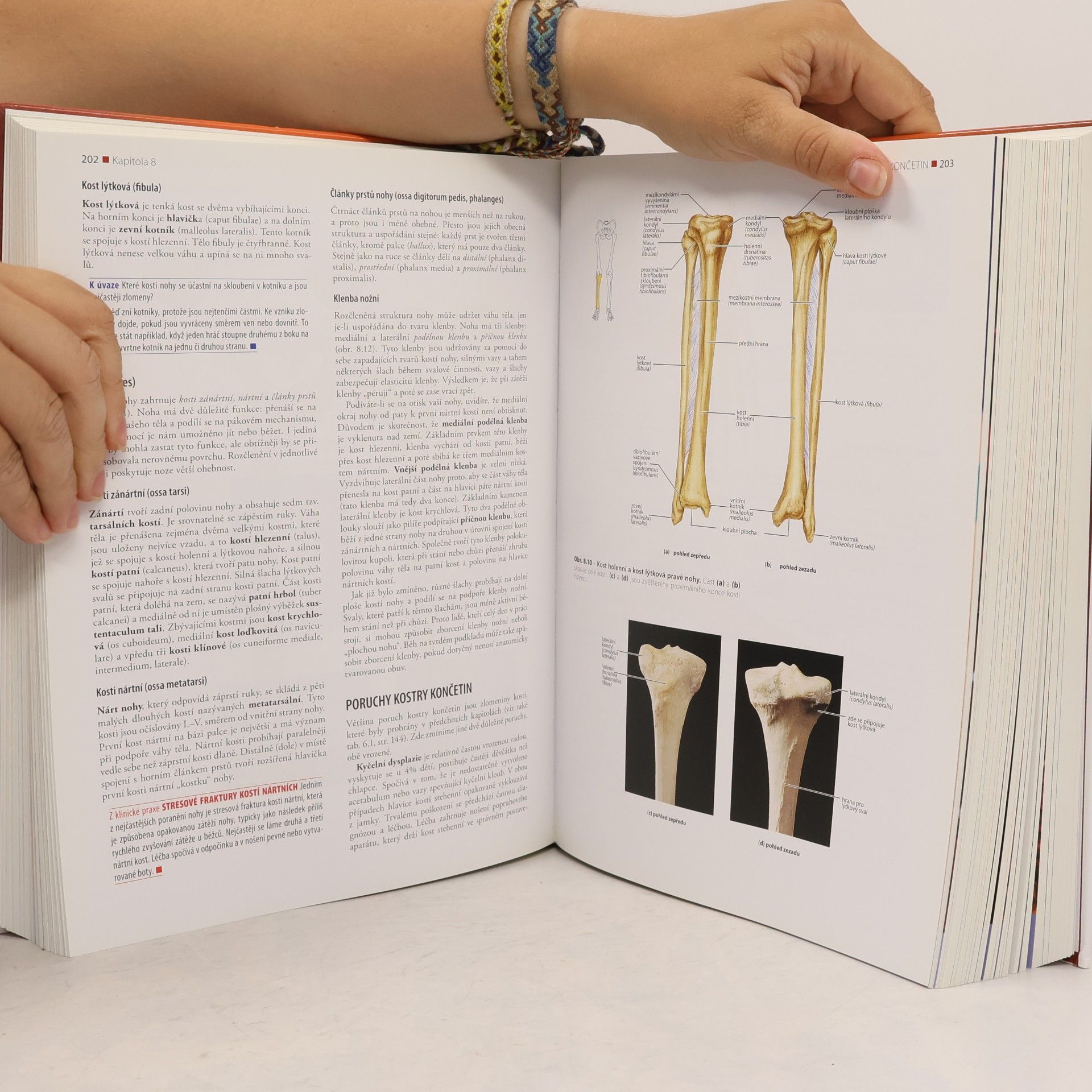 Elaine Nicpon Marieb Anatomie lidského těla