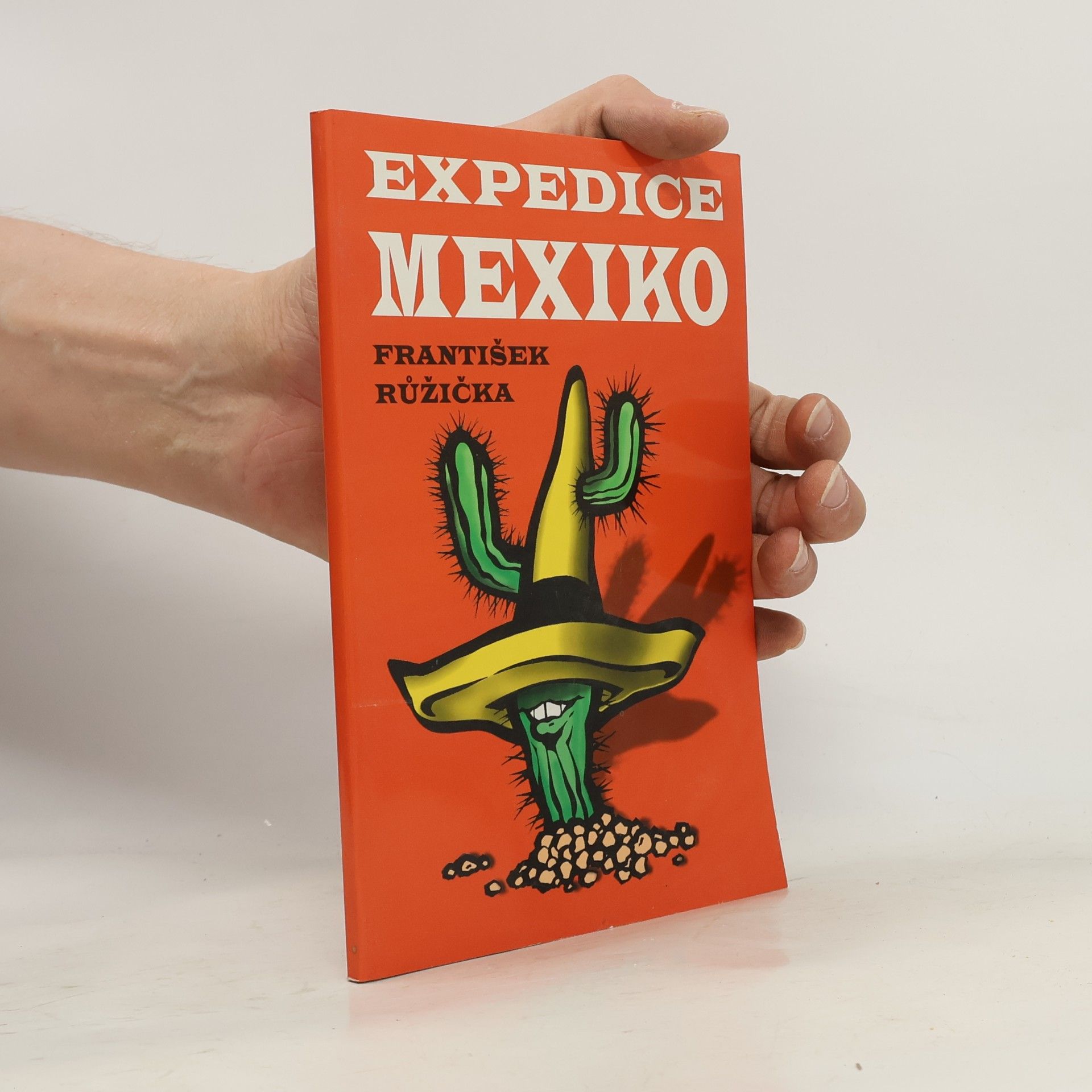František Růžička Expedice Mexiko. Fragmenty mexické. Pouť do Guadalupe - březen 1998.)