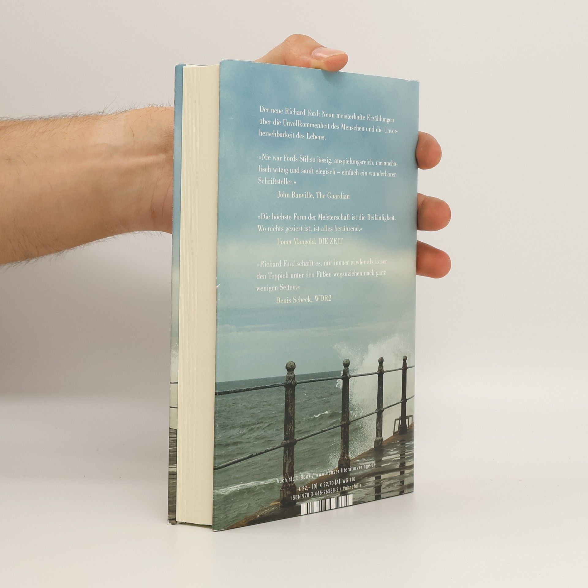 Richard Ford Irische Passagiere