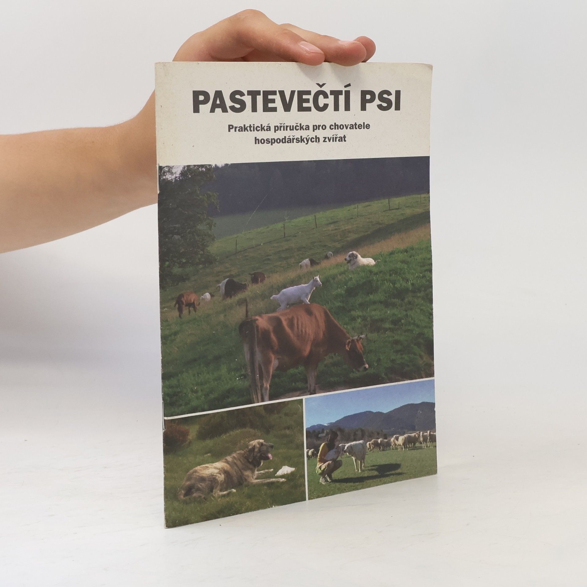 Pastevečtí psi