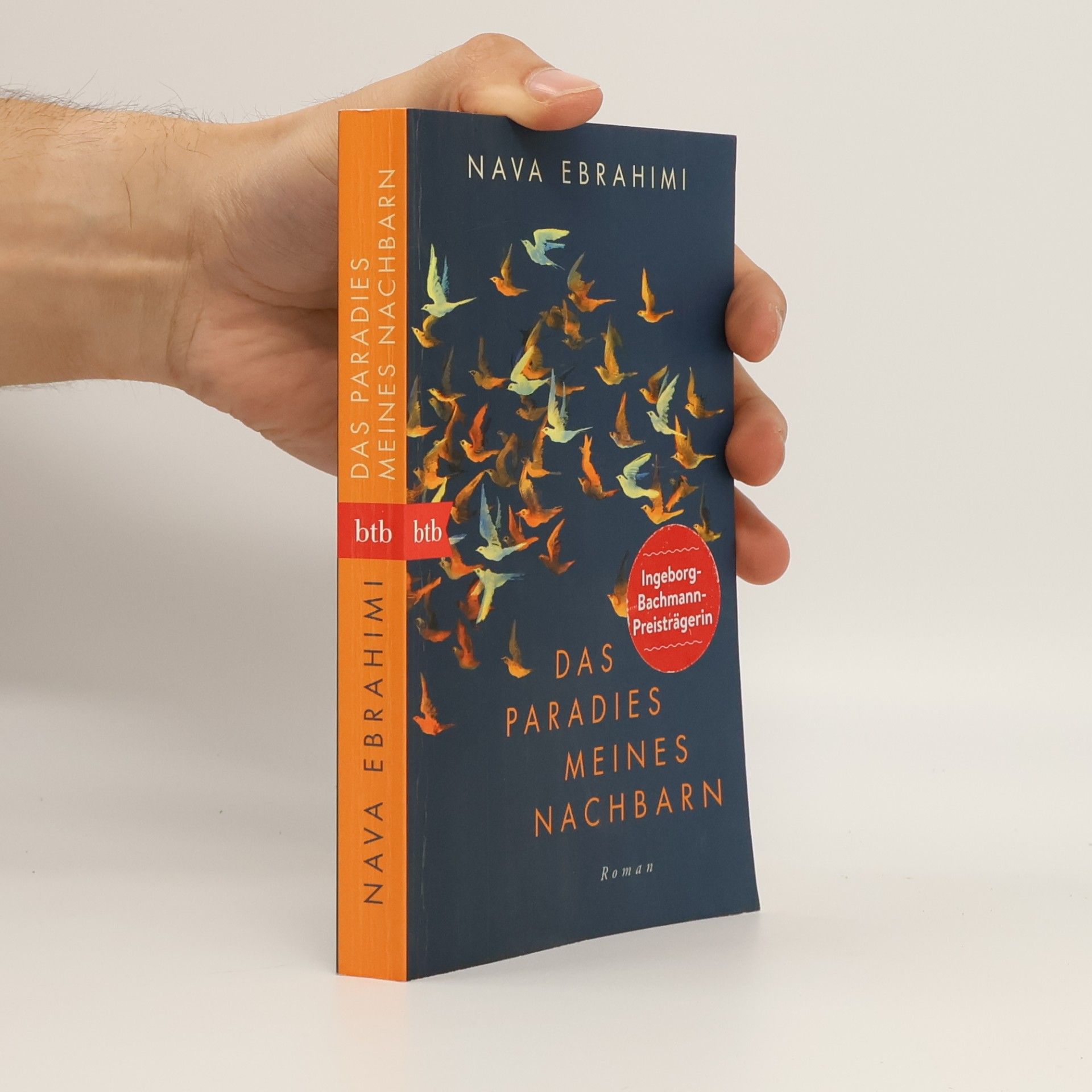 Nava Ebrahimi Das Paradies meines Nachbarn