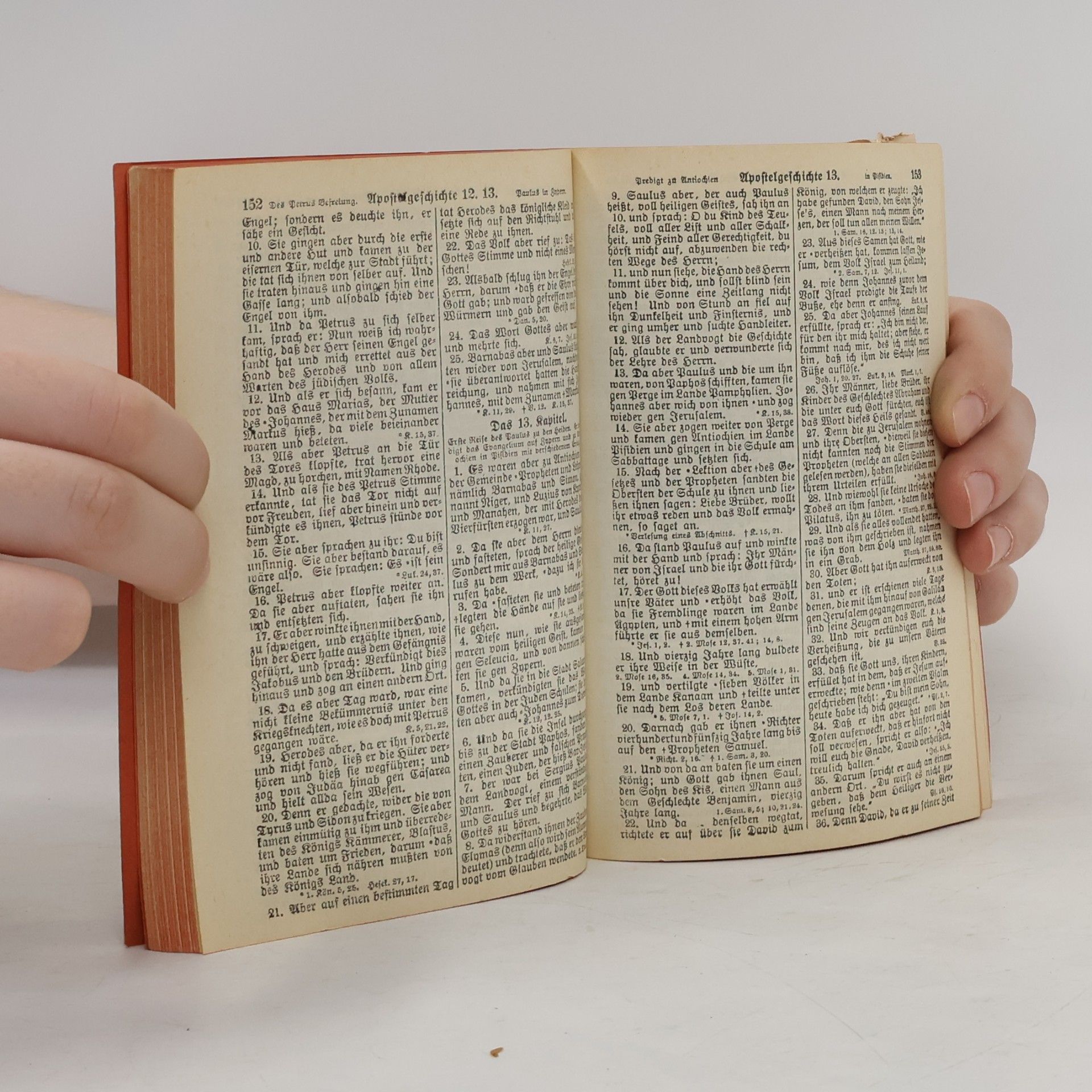 Dr. Martin Luther Das Neue Testament unser Herrn und Heilandes Jesu Christi
