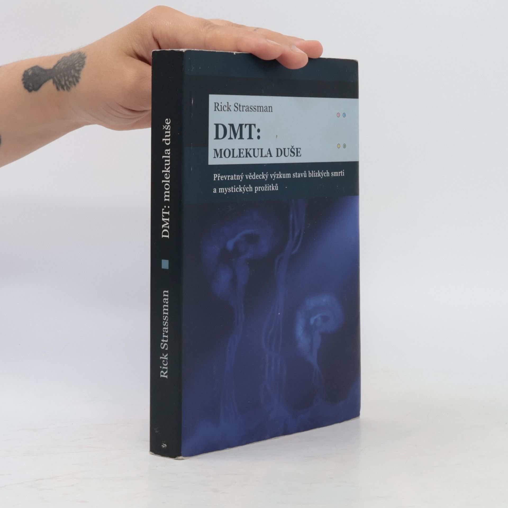 Rick Strassman DMT: Molekula duše