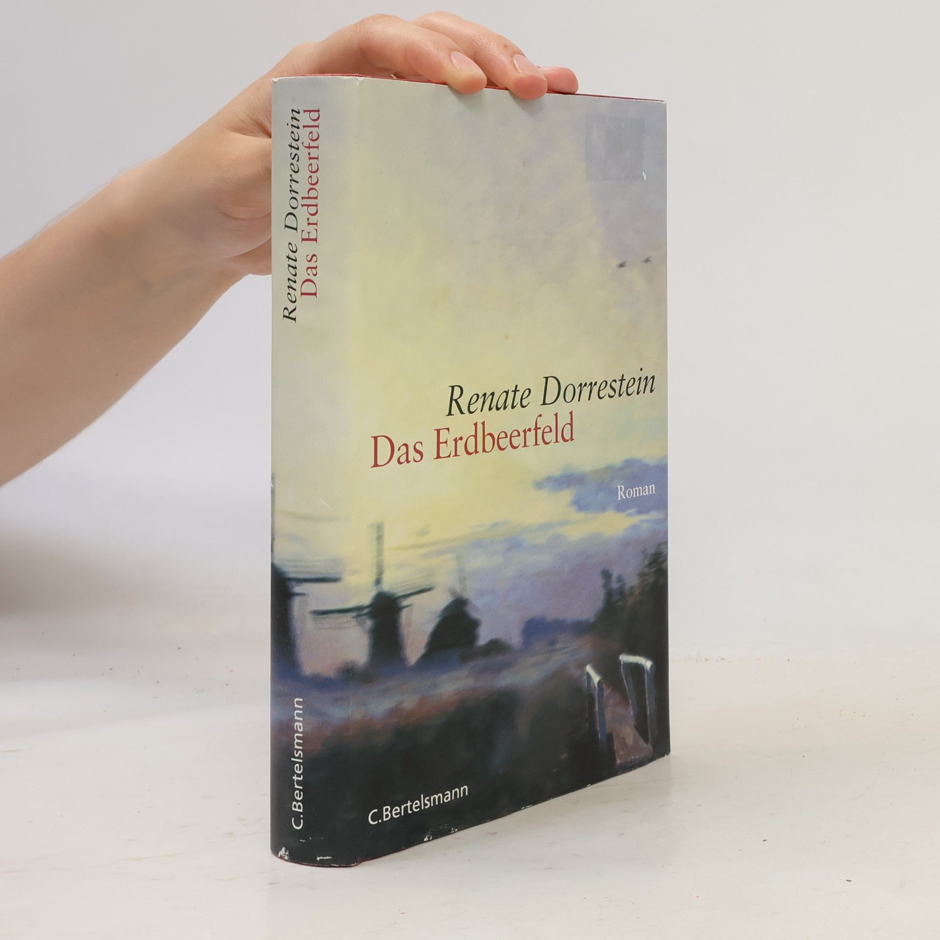 Renate Dorrestein Das Erdbeerfeld