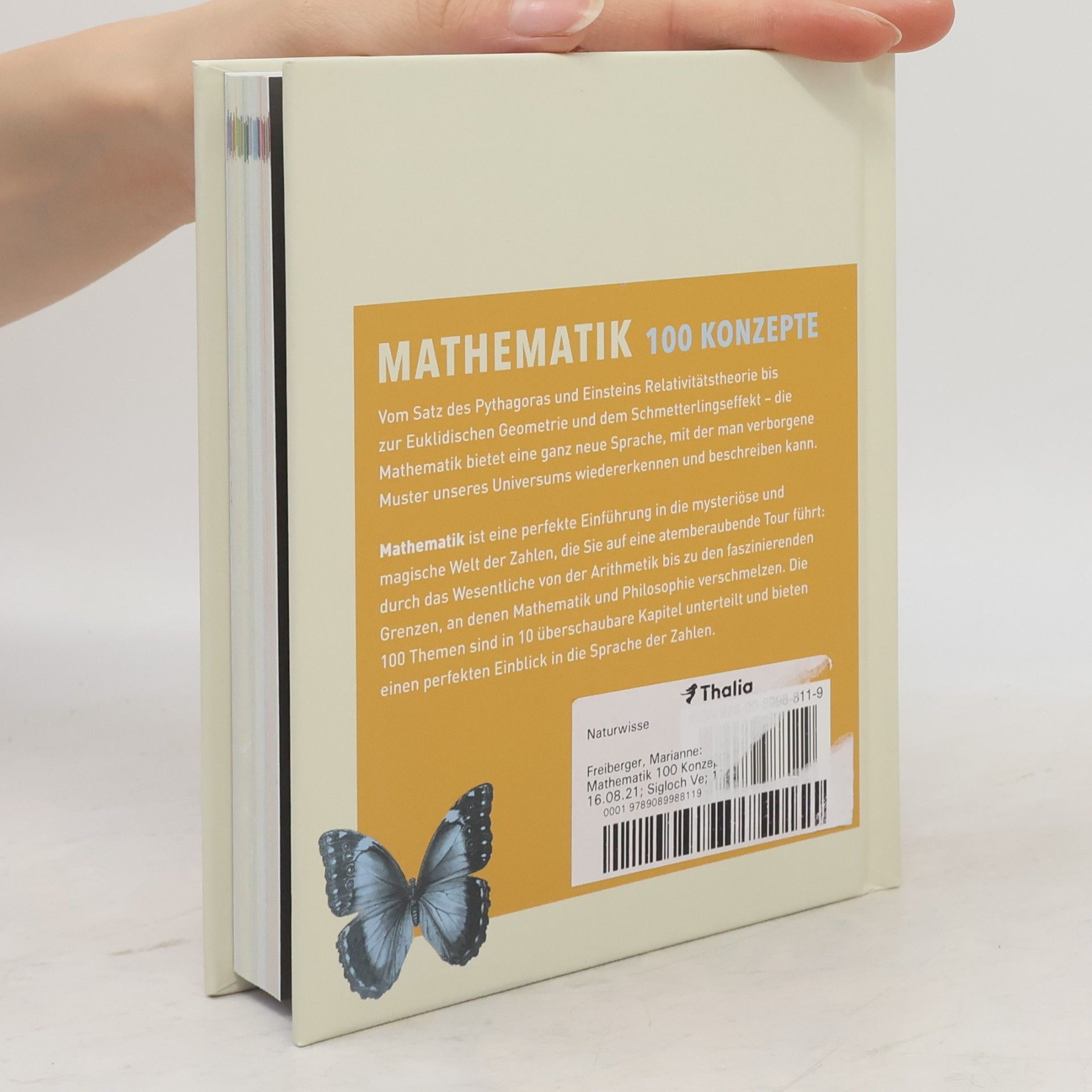 Marianne Freiberger Mathematik - 100 Konzepte