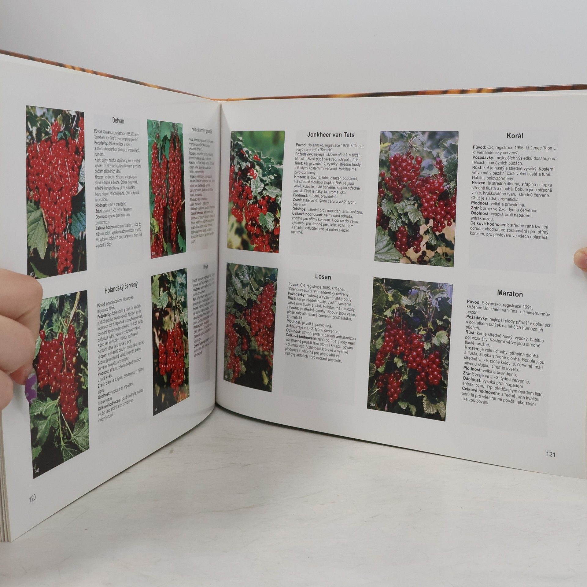 Miloslav Richter Velký atlas odrůd ovoce a révy