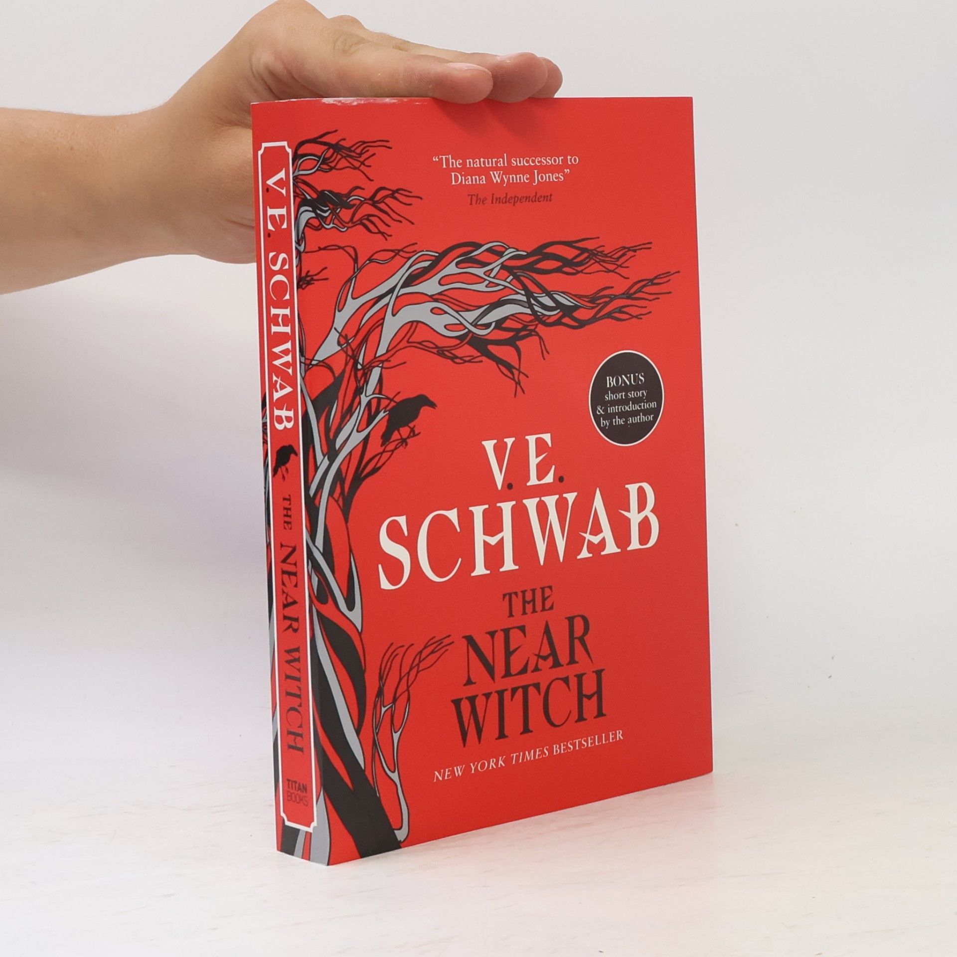 V. E. Schwab The Near Witch