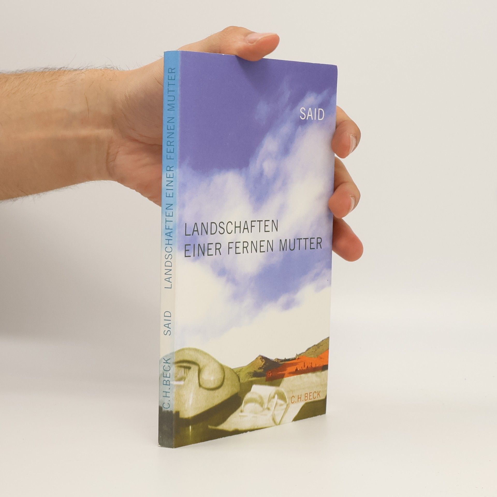 Edward Said Landschaften einer fernen Mutter