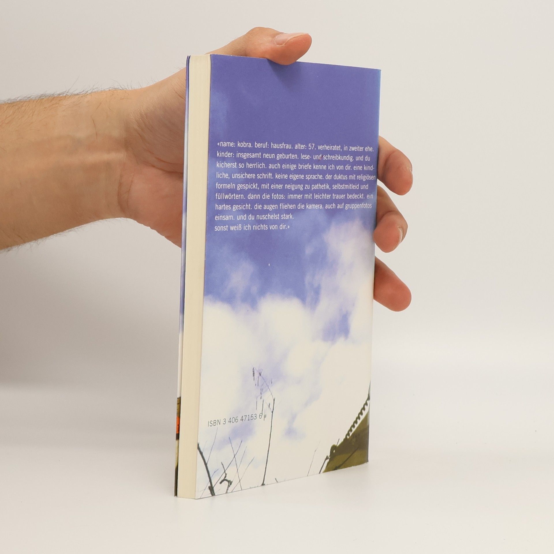 Edward Said Landschaften einer fernen Mutter