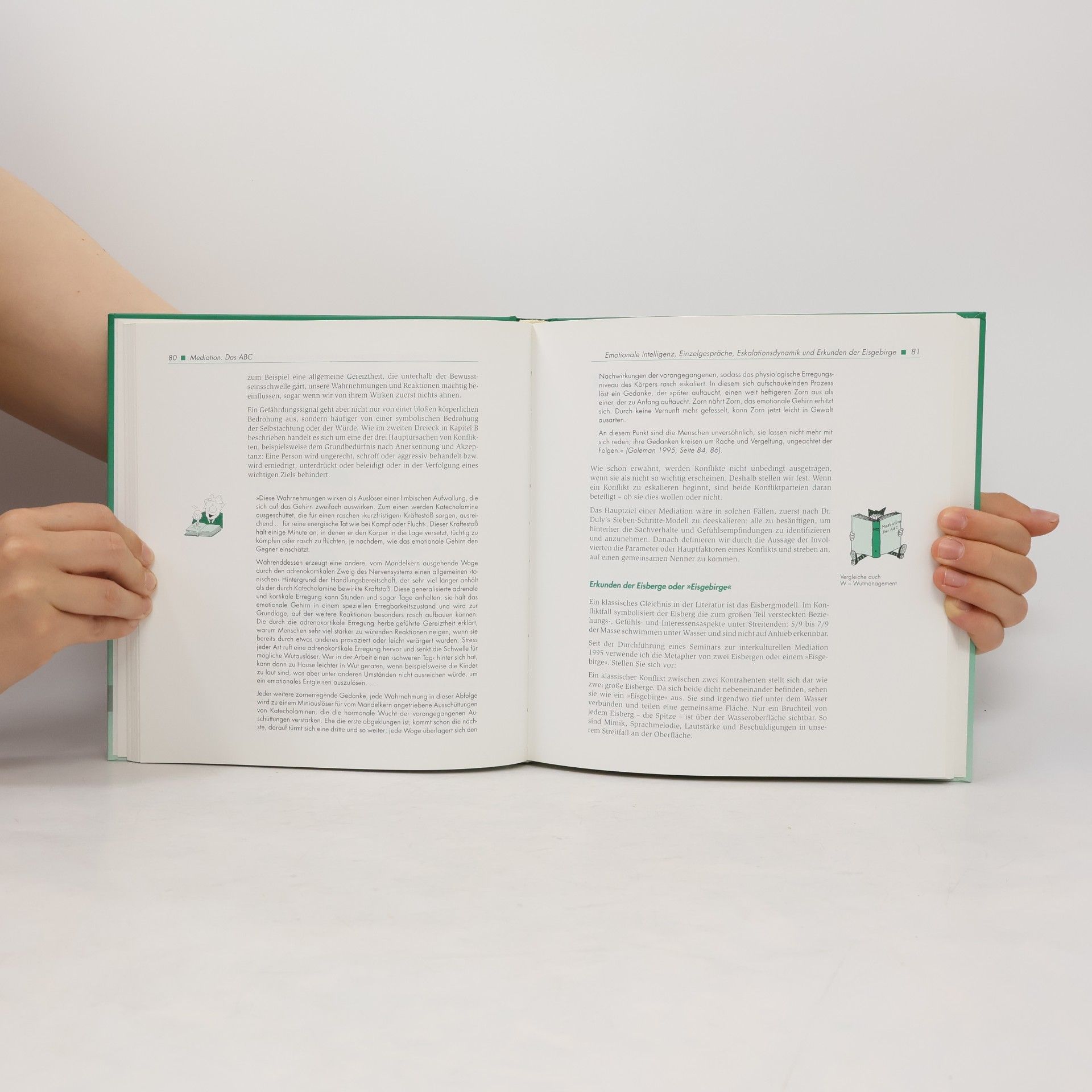 Nina L. Dulabaum Mediation: Das ABC