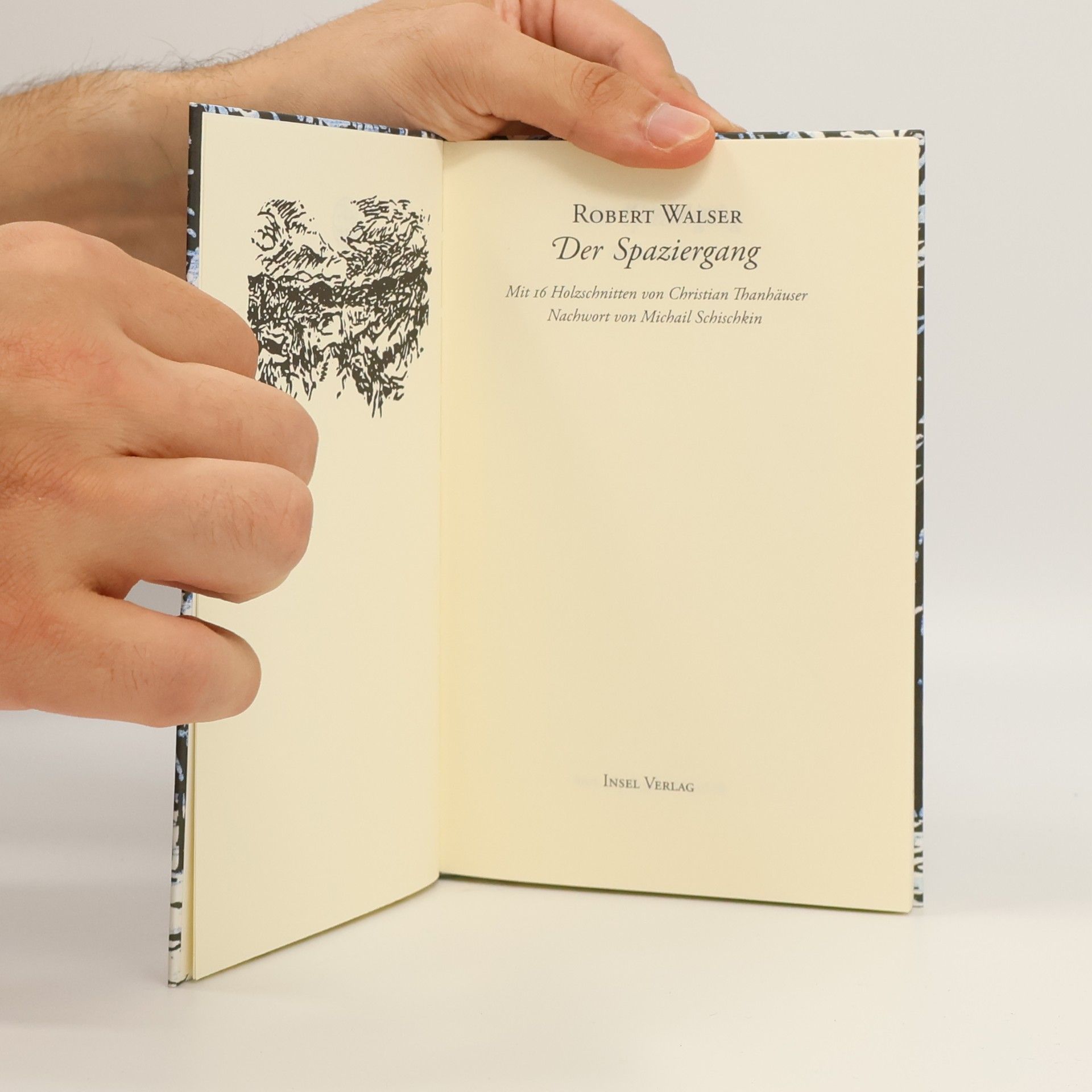 Robert Walser Der Spaziergang