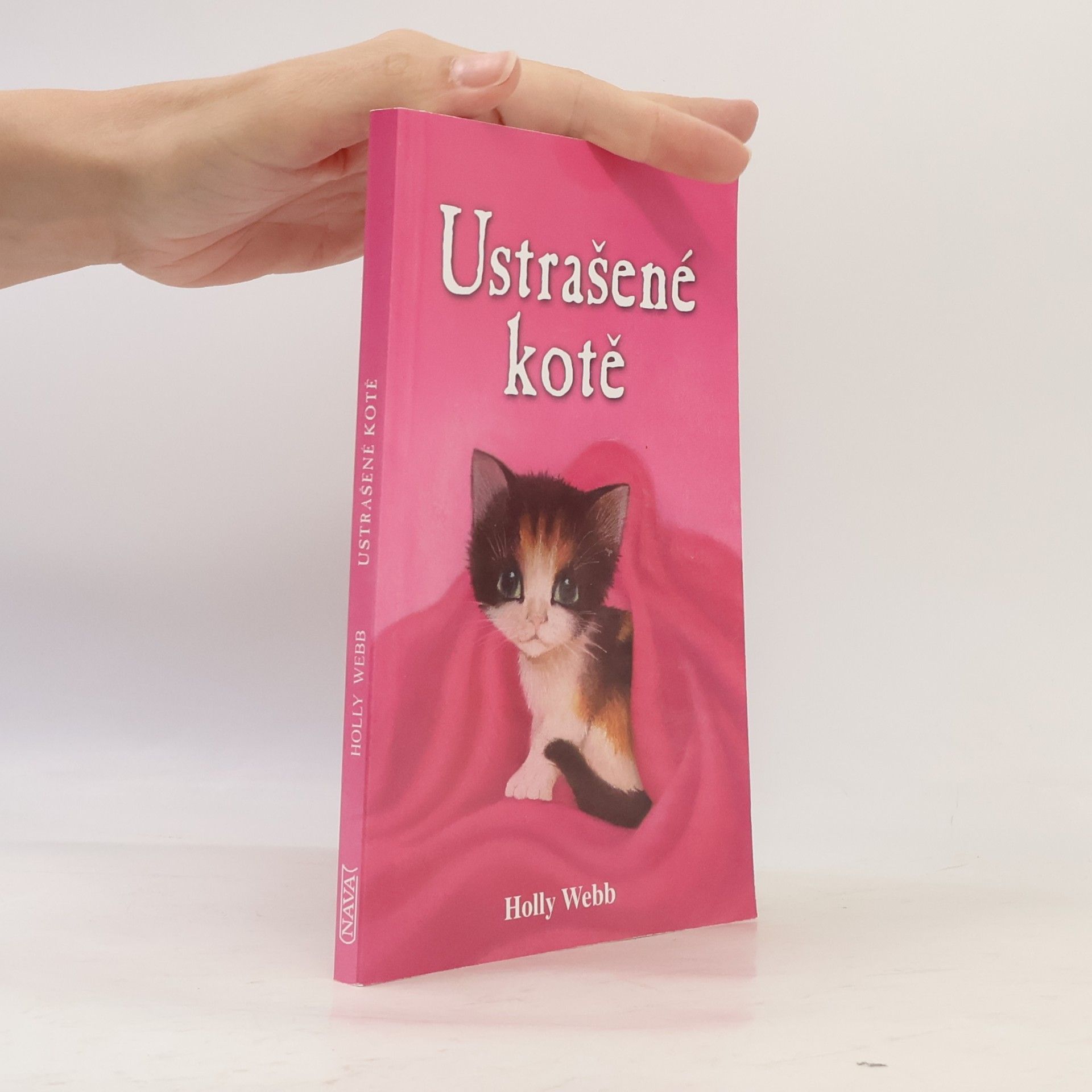 Holly Webb Ustrašené kotě