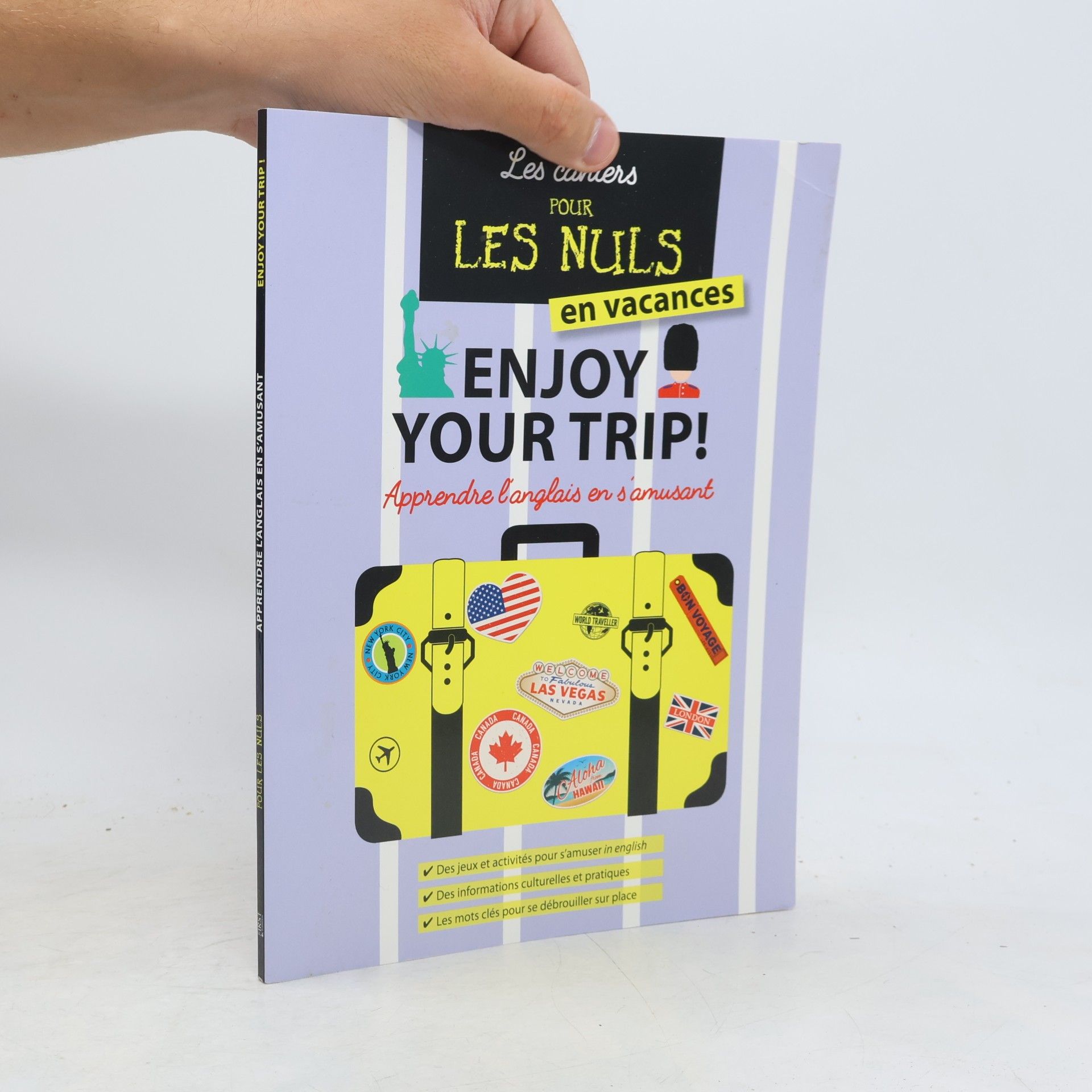 Richard Matthewson Les cahiers Pour les Nuls en vacances: Enjoy Your Trip!