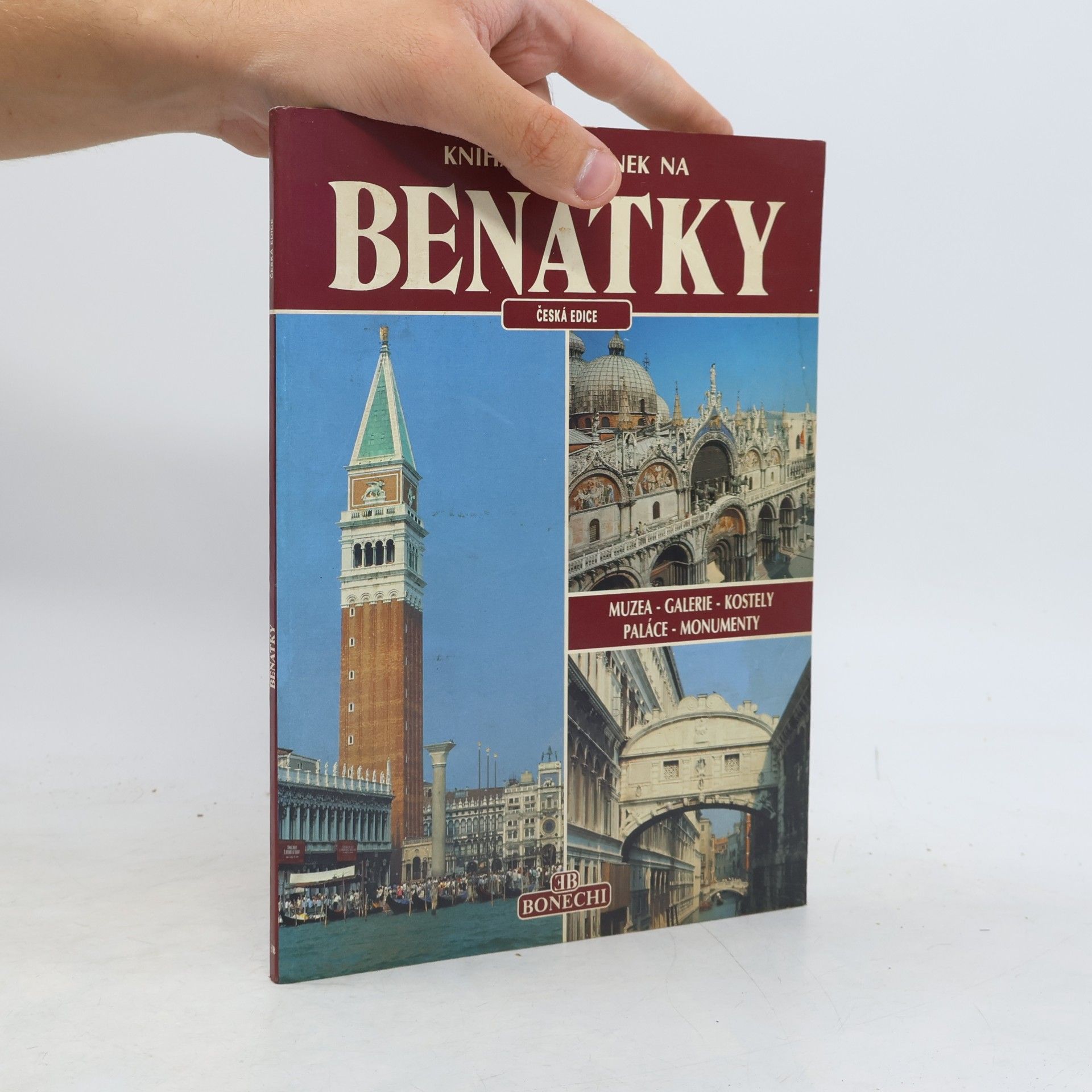 Františka Lopatová Senesi Kniha vzpomínek na Benátky
