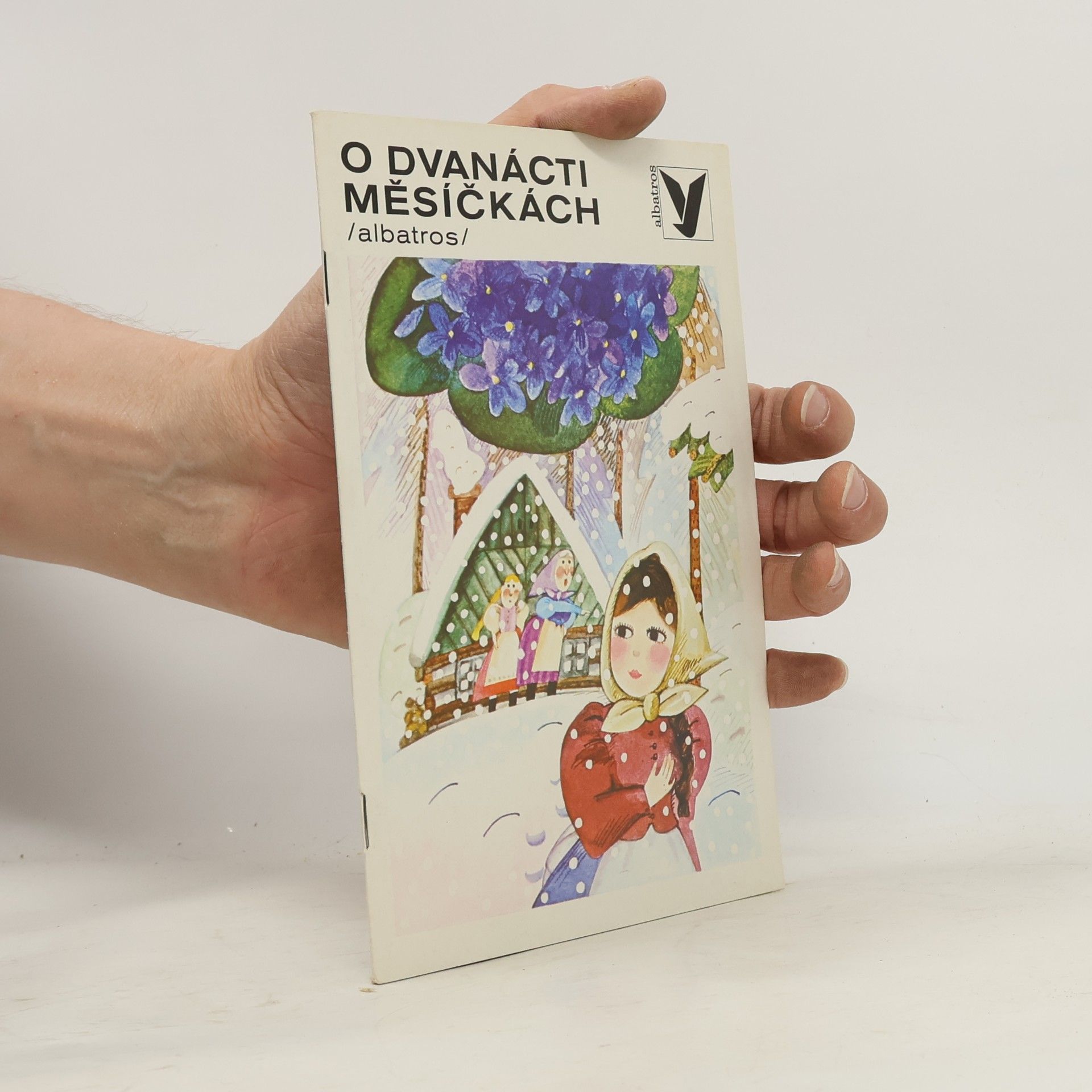 Autorenkollektiv O dvanácti měsíčkách