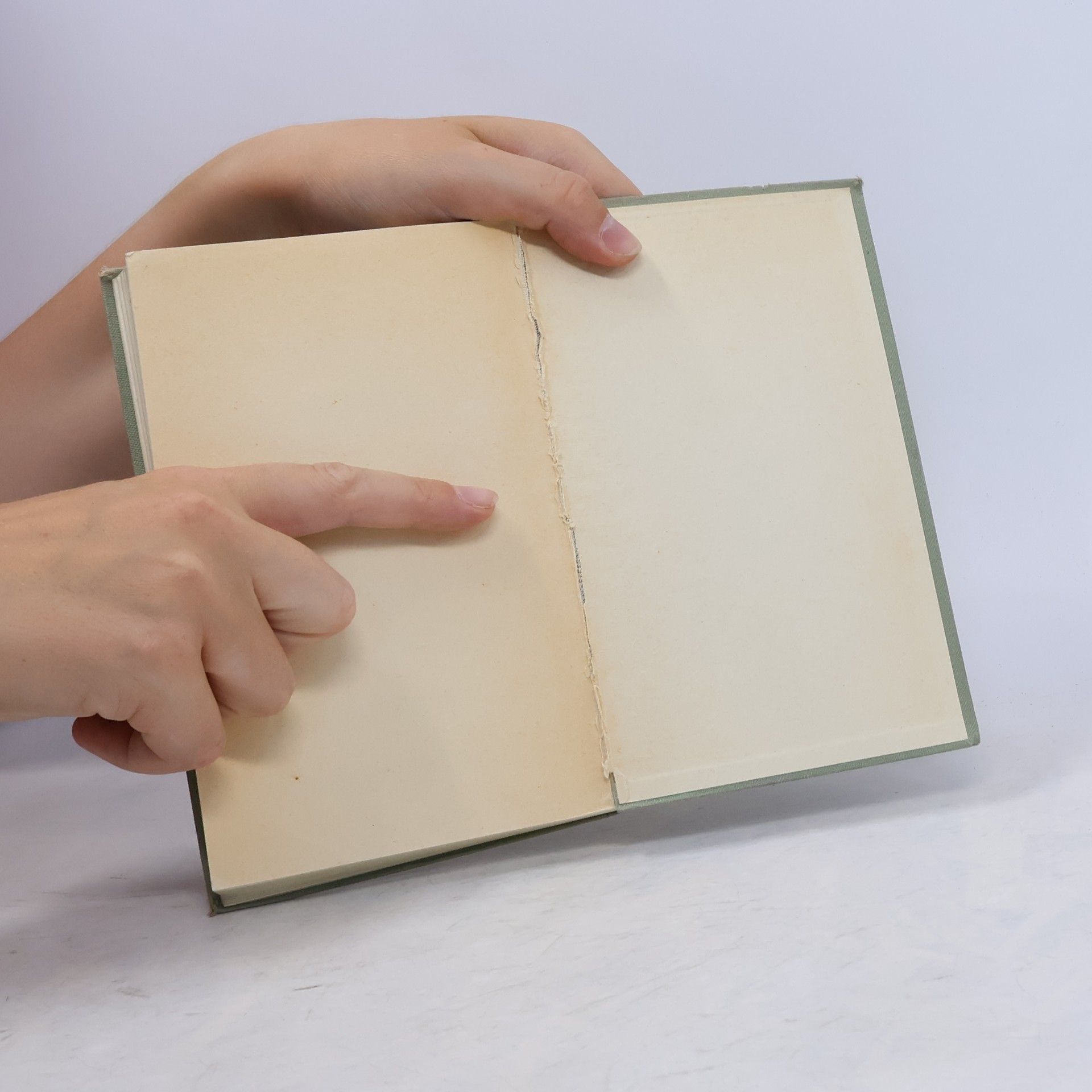 Rudolf Schwarz Steirisches Liederbuch