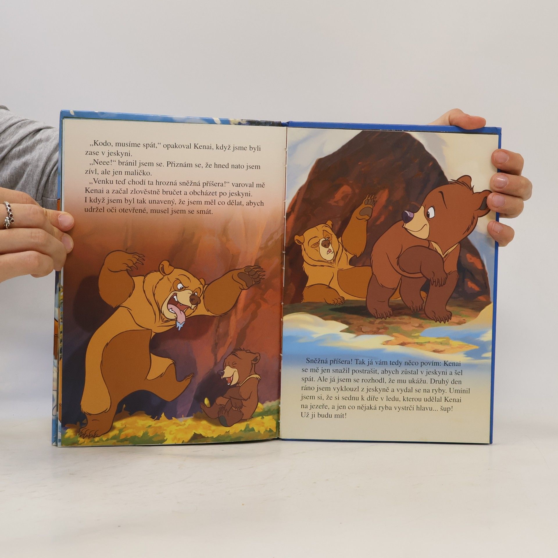 Walt Disney Medvědí bratři. Zimní pohádka