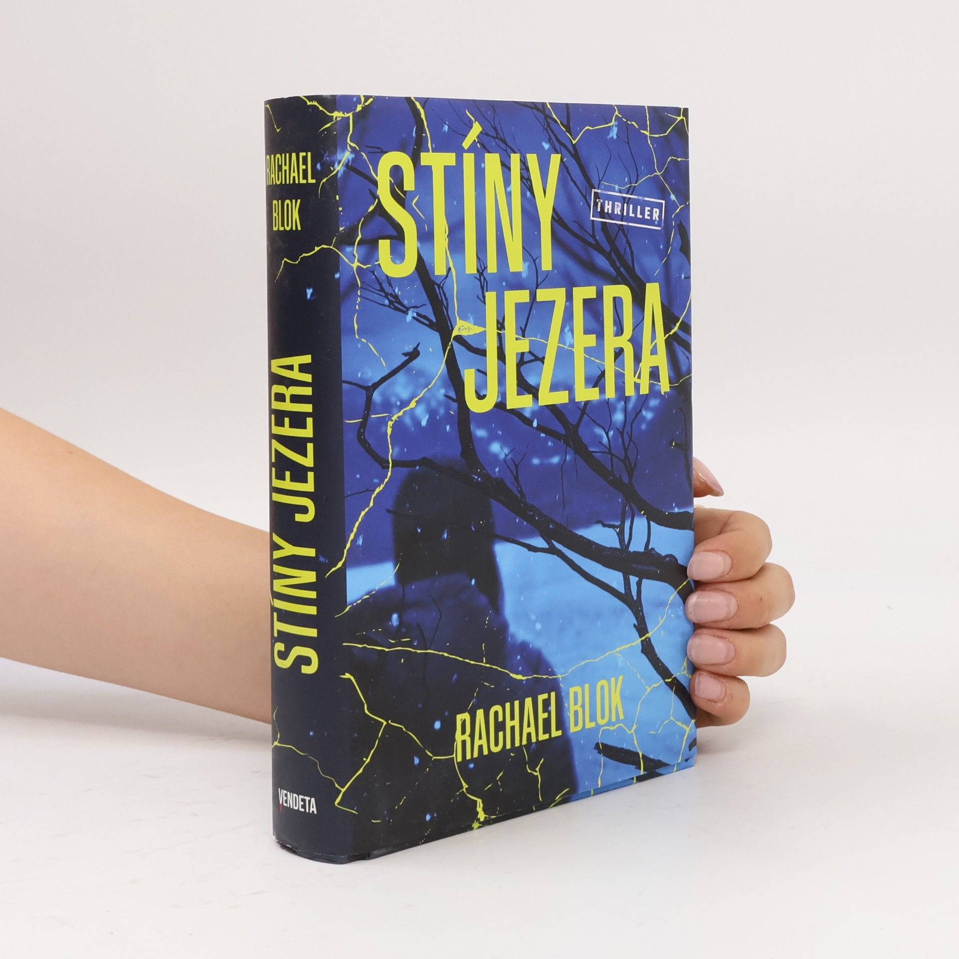 Rachael Blok Stíny jezera