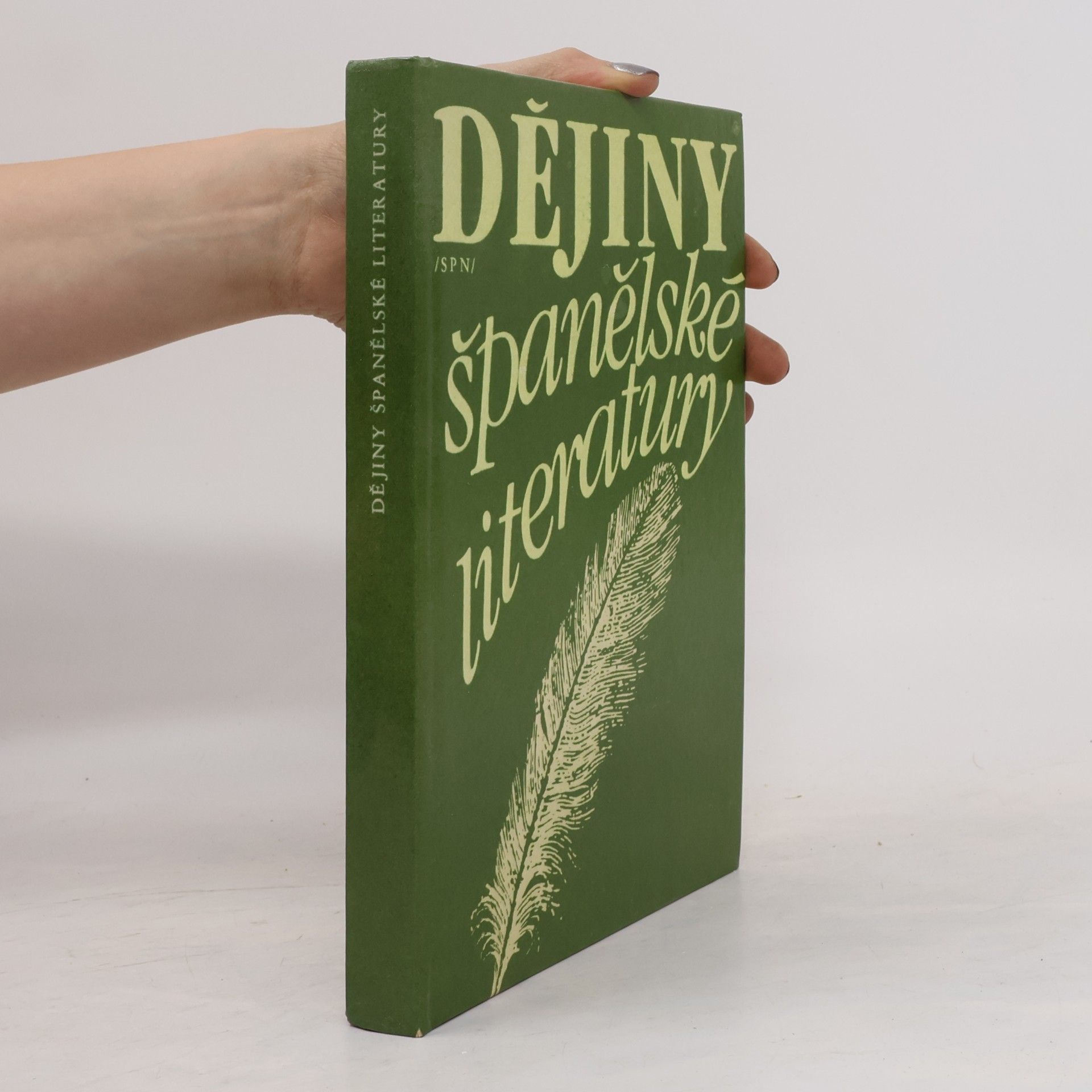 Dějiny španělské literatury