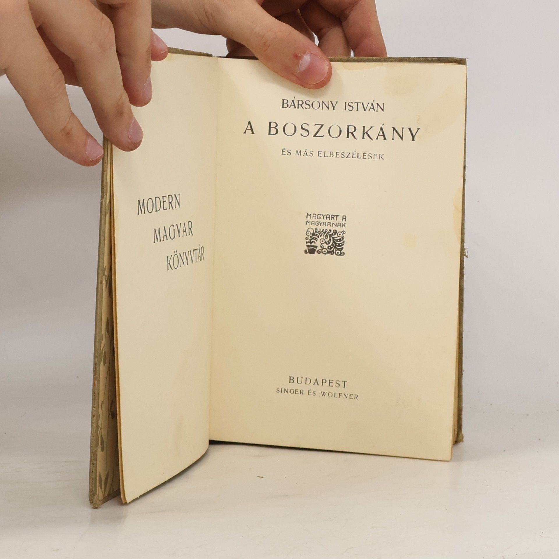István Bársony A boszorkány