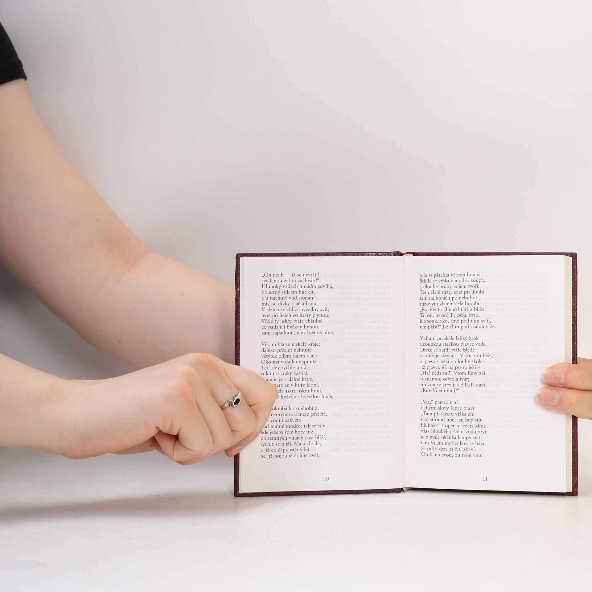 Karel Hynek Mácha To nejlepší z poezie 19. století: Máj, Kytice