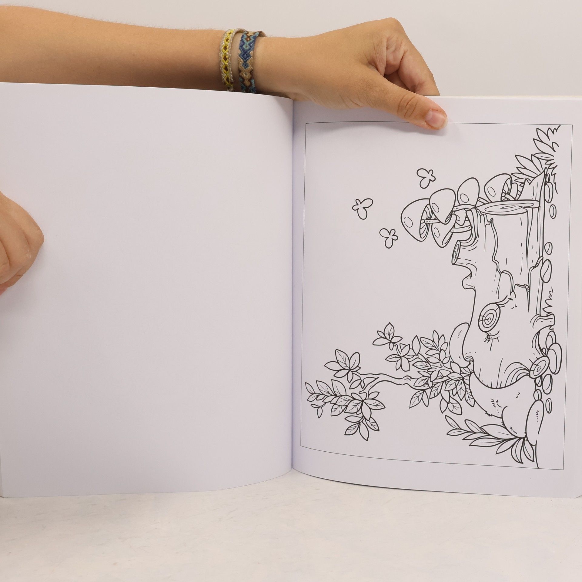 Tansy Willow The Enchanting World Colouring Book