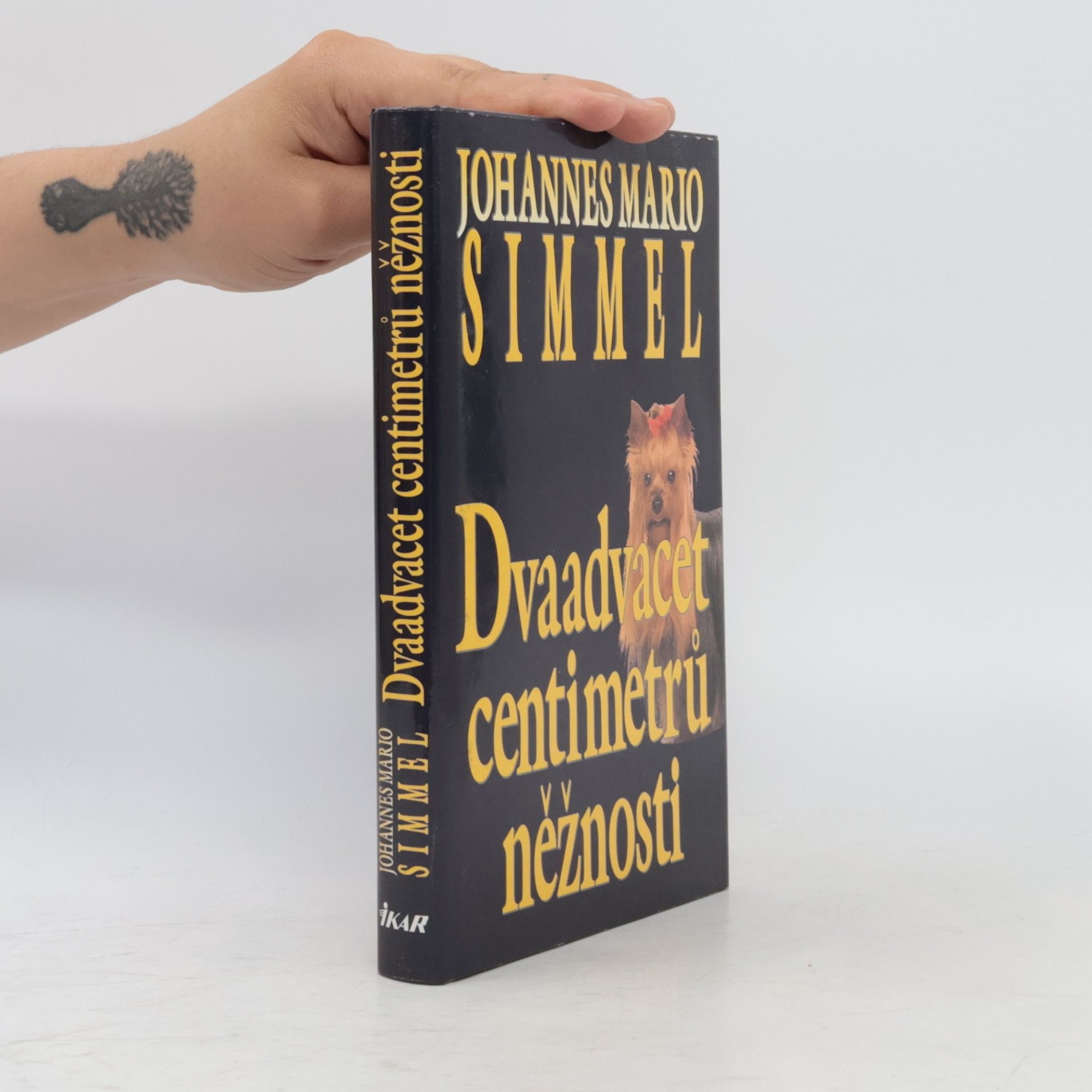 Johannes Mario Simmel Dvaadvacet centimetrů něžnosti