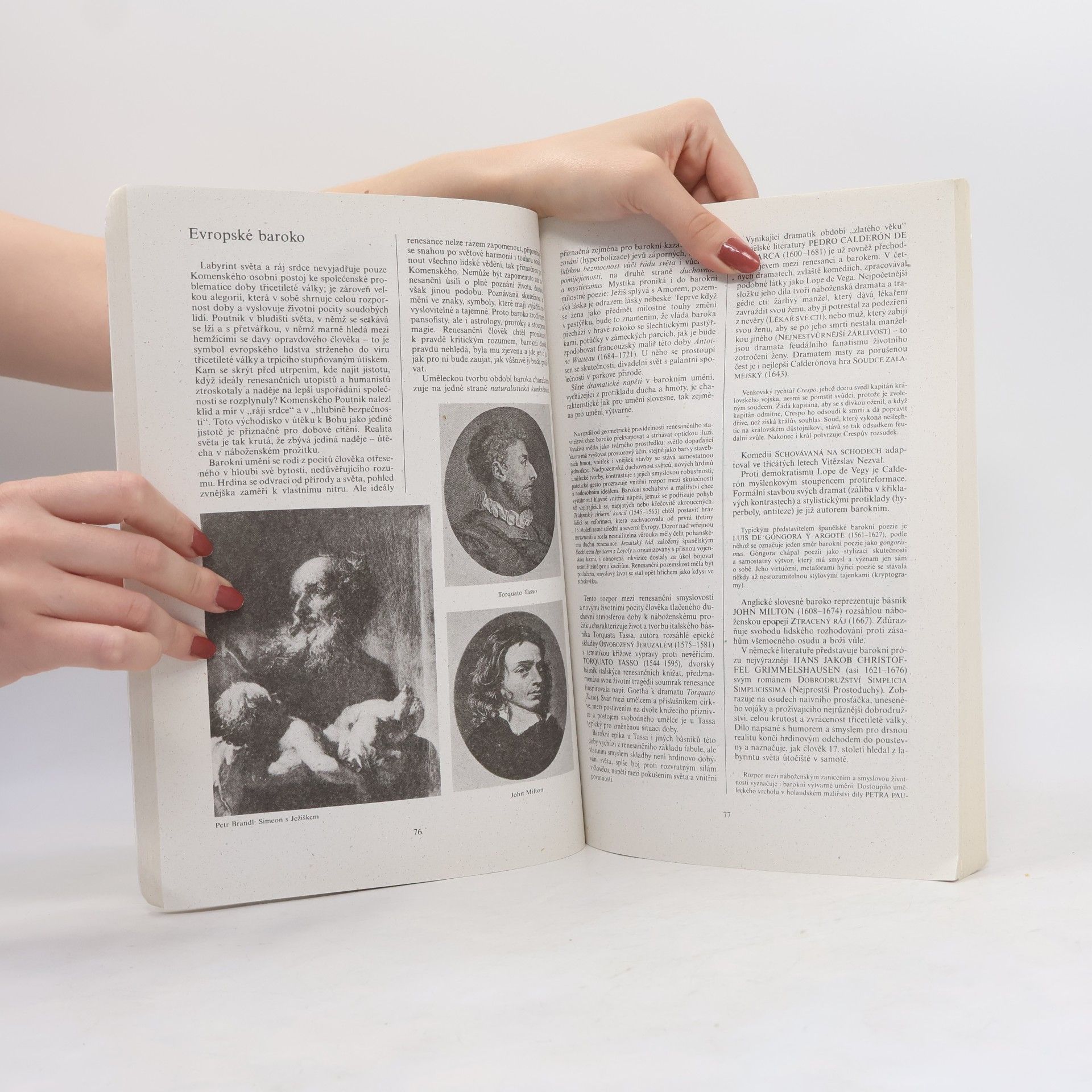 Bohuš Balajka Přehledné dějiny literatury I.