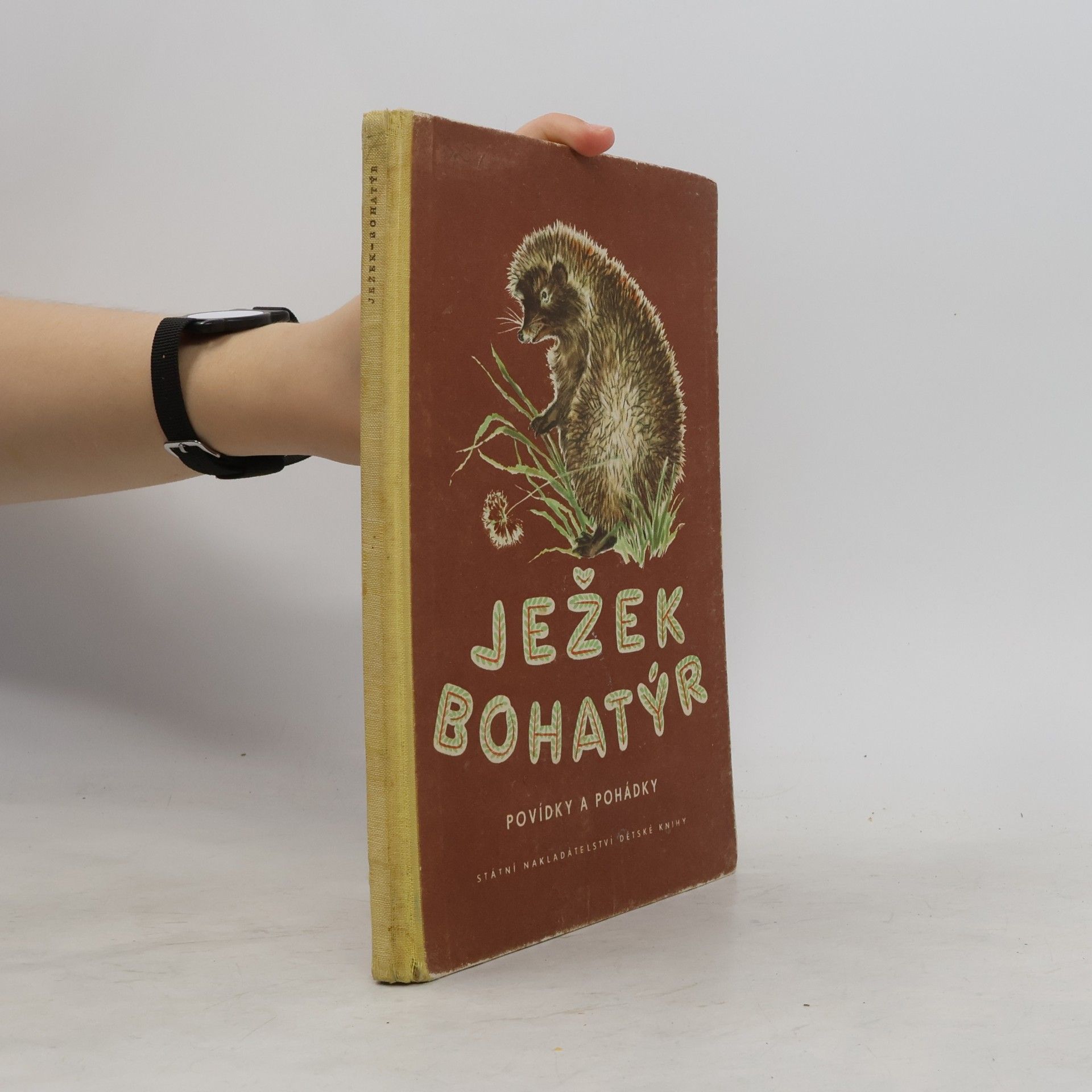 Kolektiv autorů Ježek bohatýr