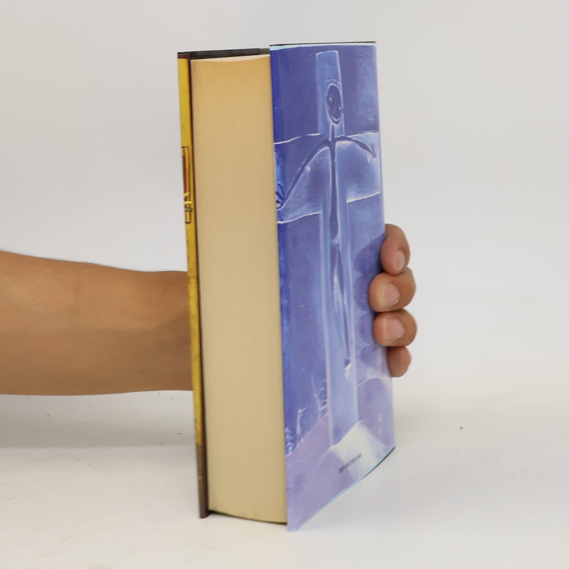 John Irving Modlitba za Owena Meanyho
