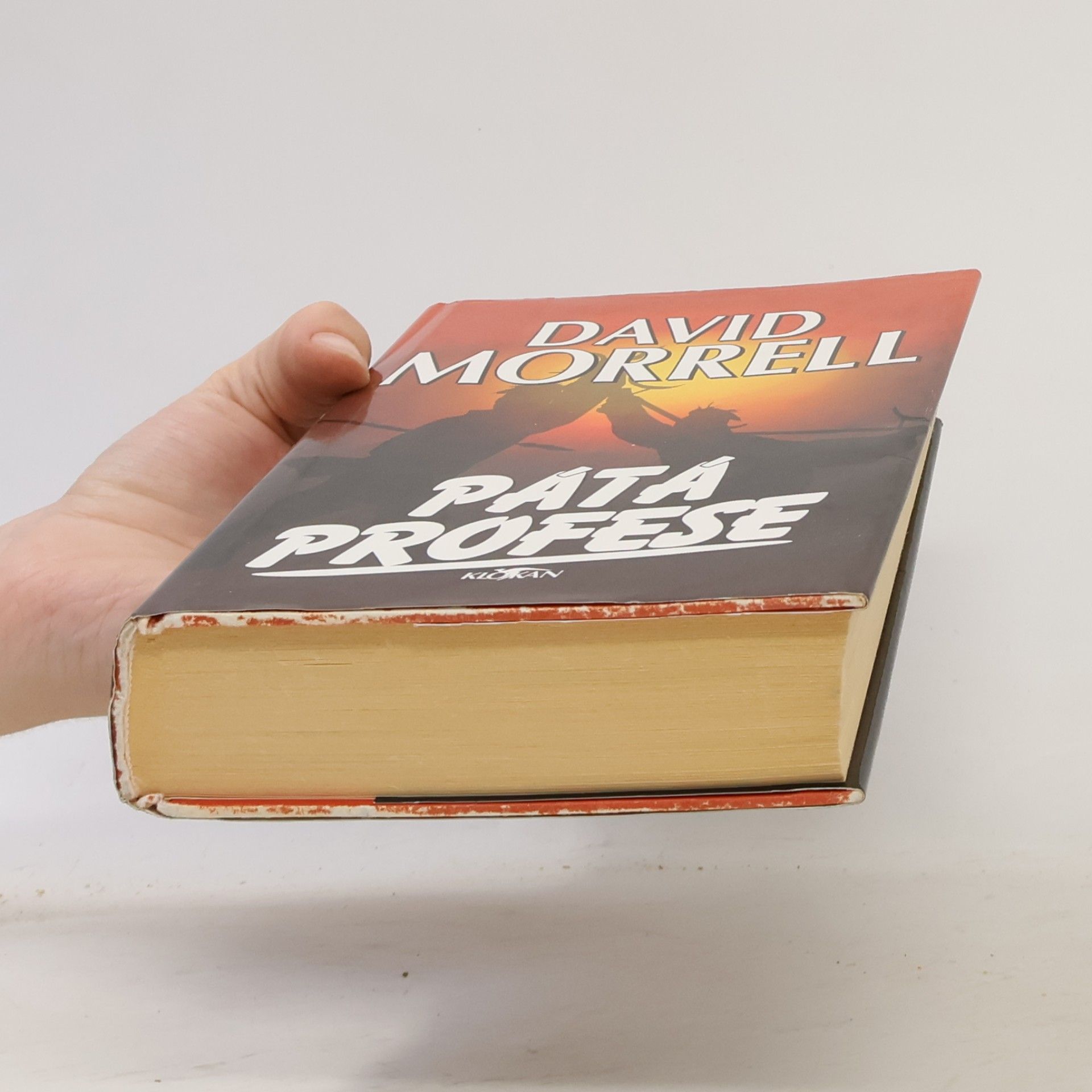 David Morrell Pátá profese