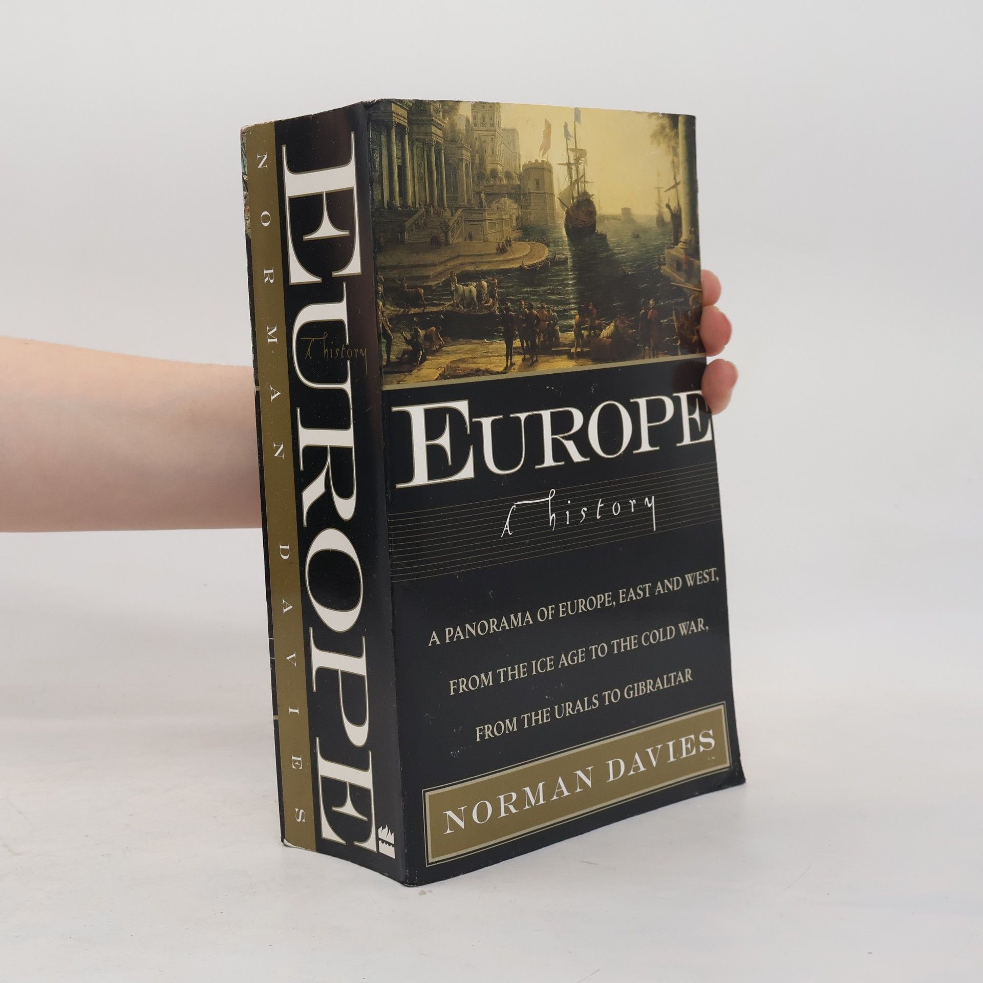 Norman Davies Europe: A History