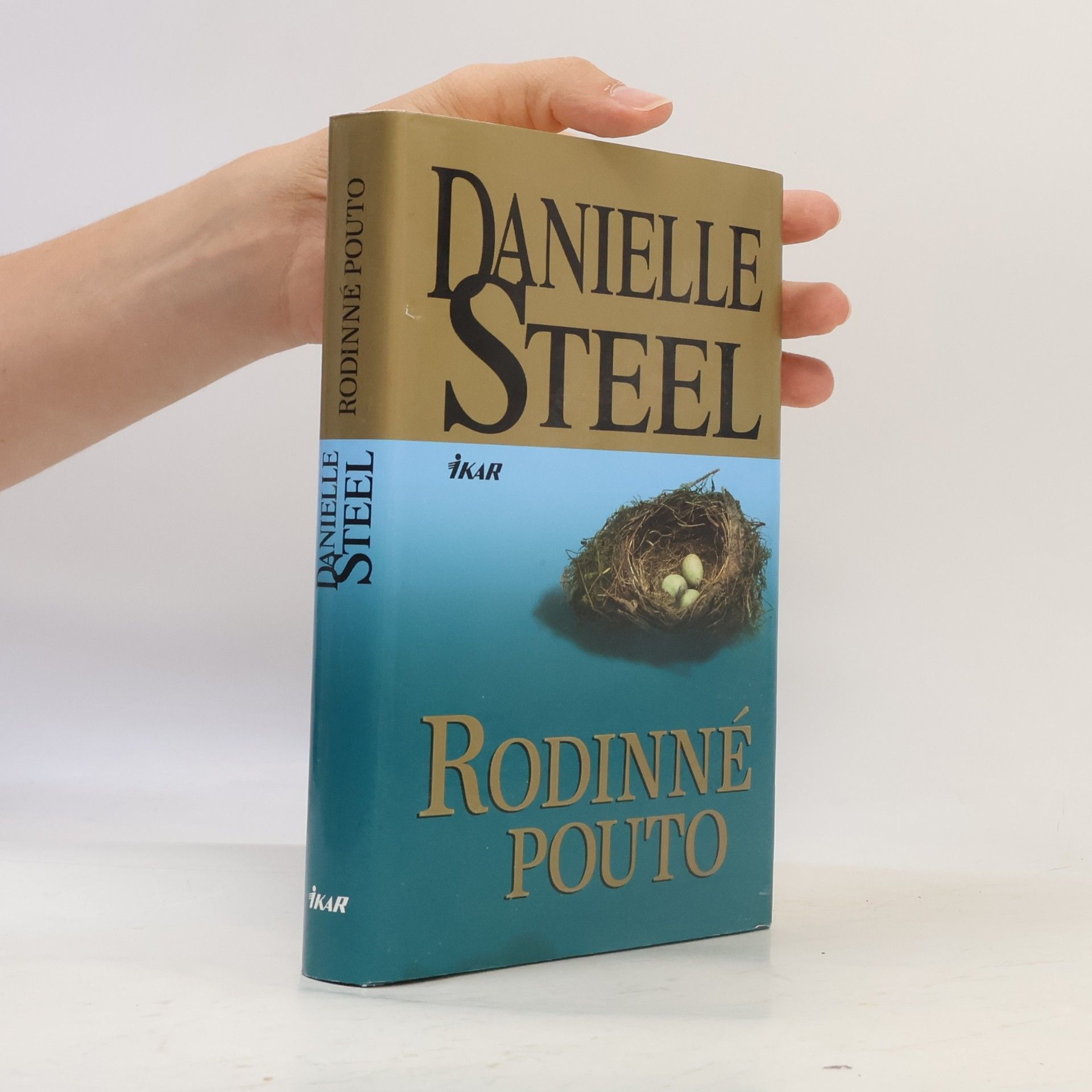 Danielle Steel Rodinné pouto